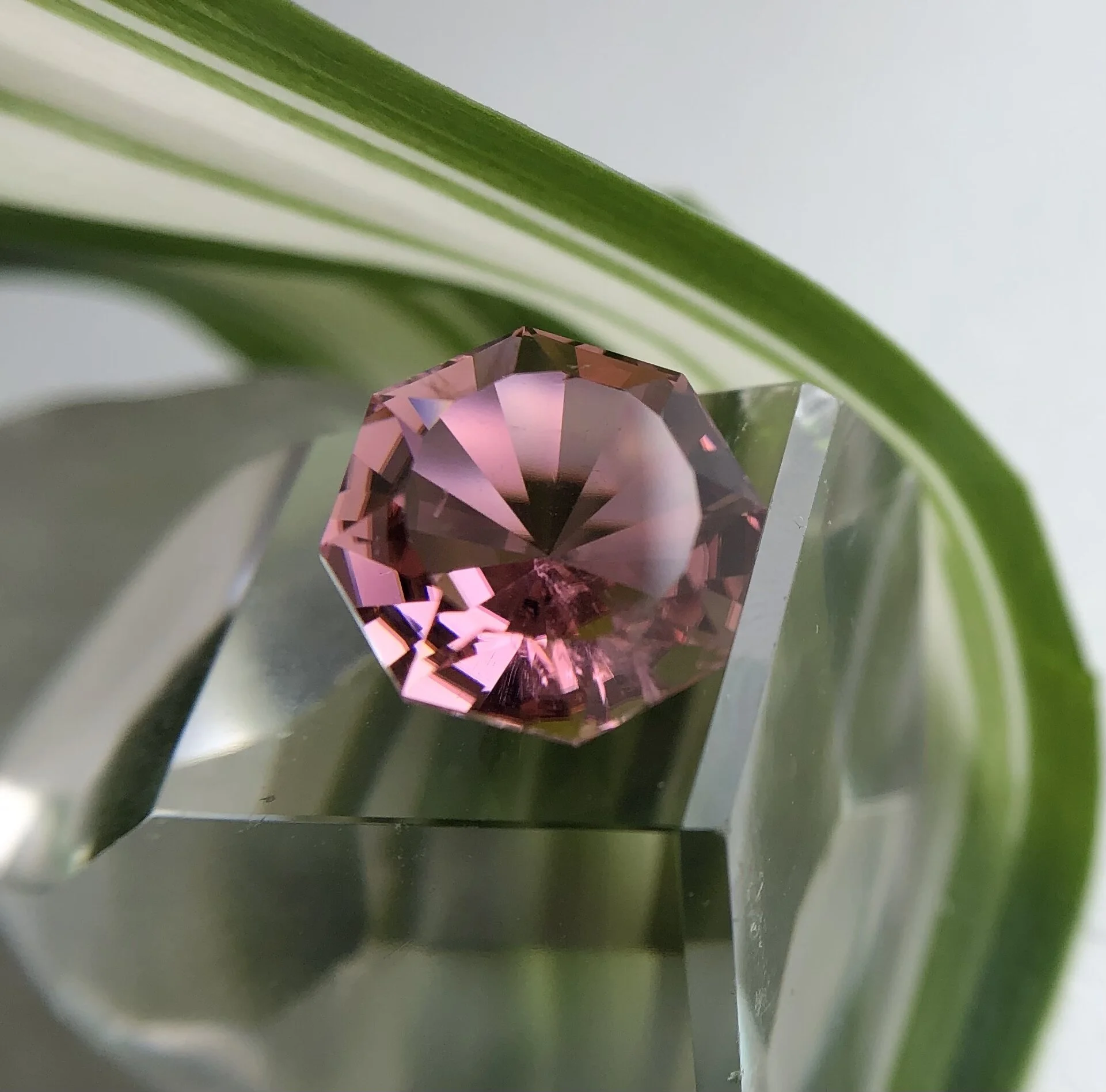 29BA2418-FE26-4180-9B14-6D2A169CC3EF