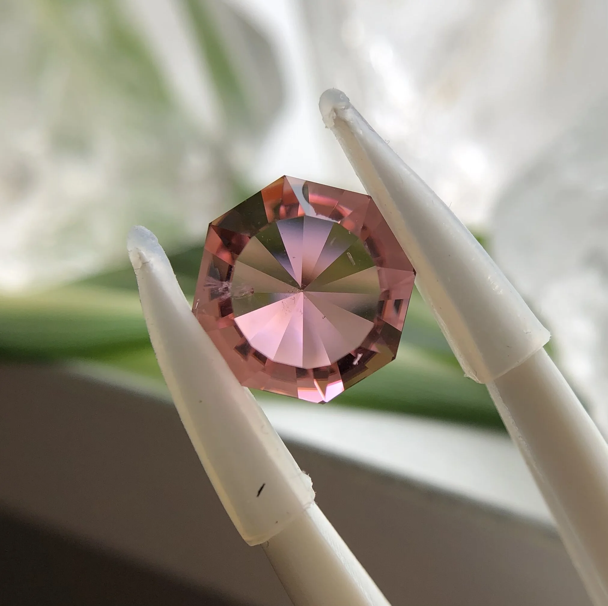 1B4BA70A-761B-4B84-B4F8-12FE529F51B8