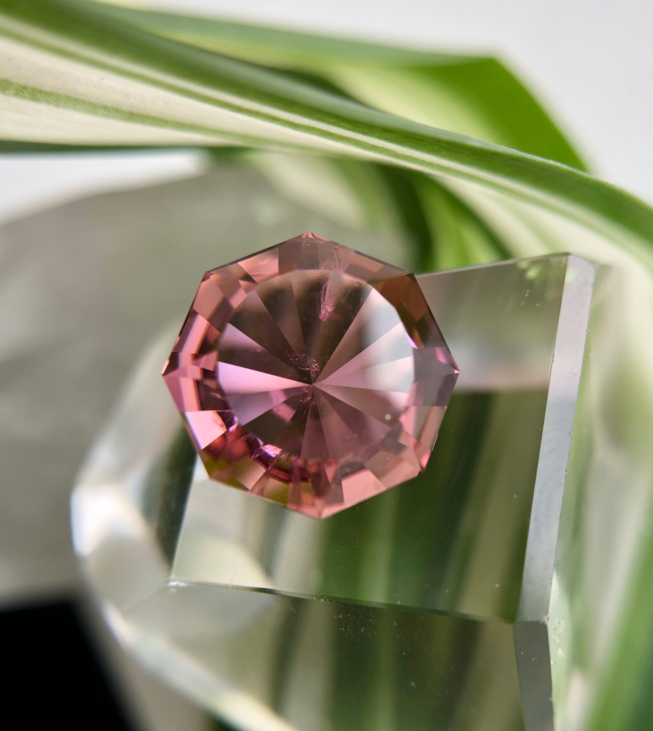 00A7D030-94AA-4FB6-BAA2-CBB31DFCFC68