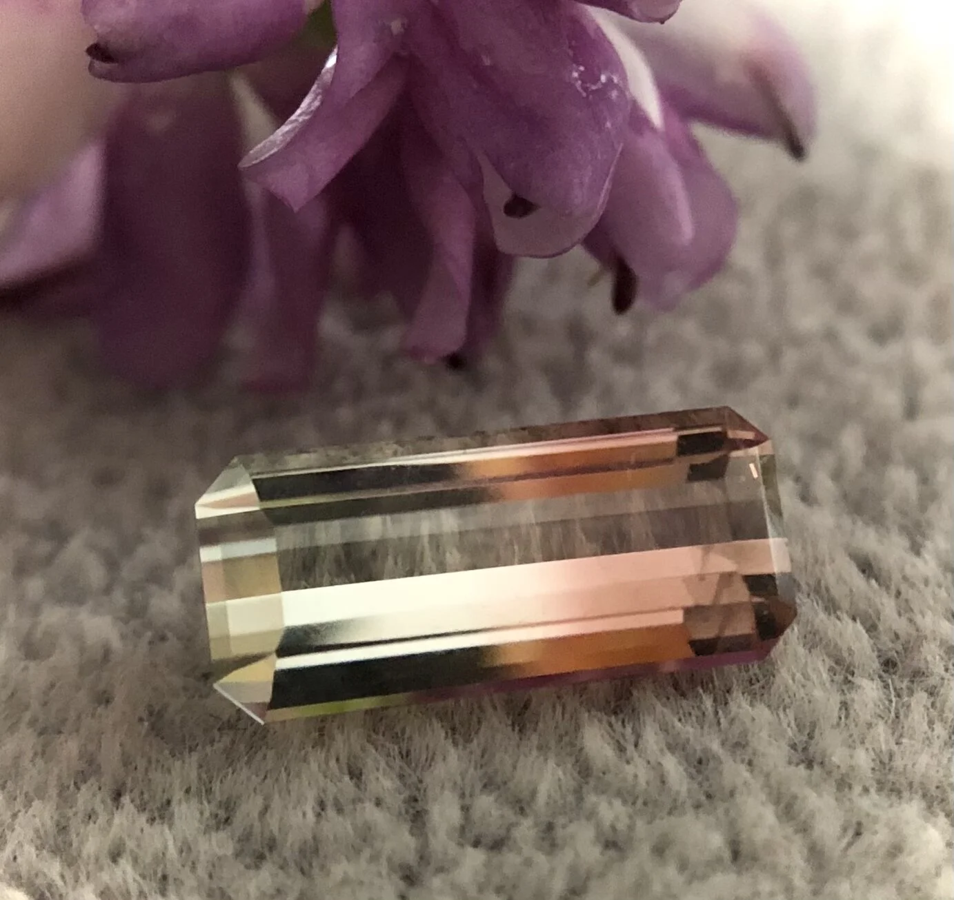 233F8A18-5125-4150-8388-4F89E1C10A60