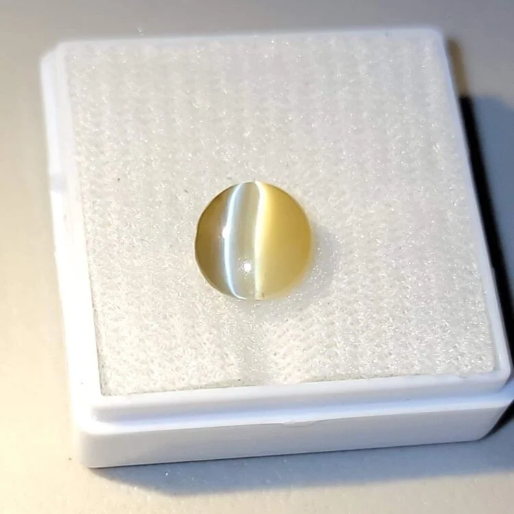 E3864282-E894-4B77-9ED2-6363579D293D