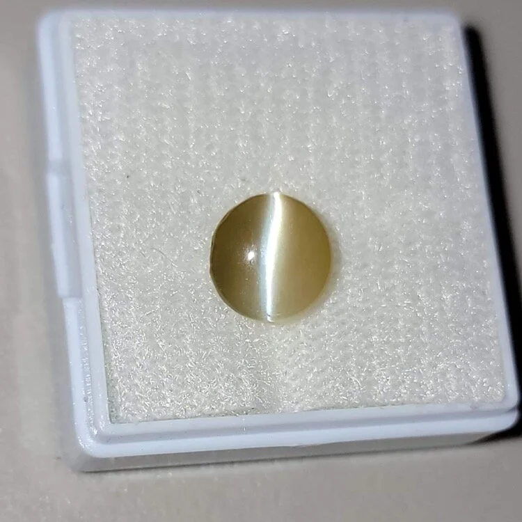 40B381C9-1BF6-47B2-B0D6-9DD9680F67A5