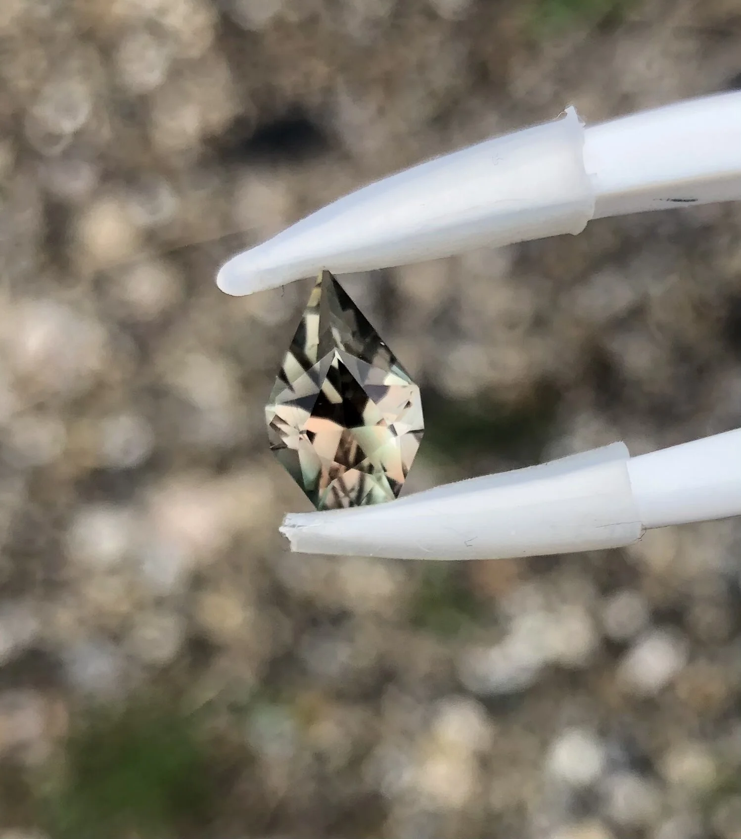 6139FEF7-66FF-4649-B5D8-D3D9237F9E15