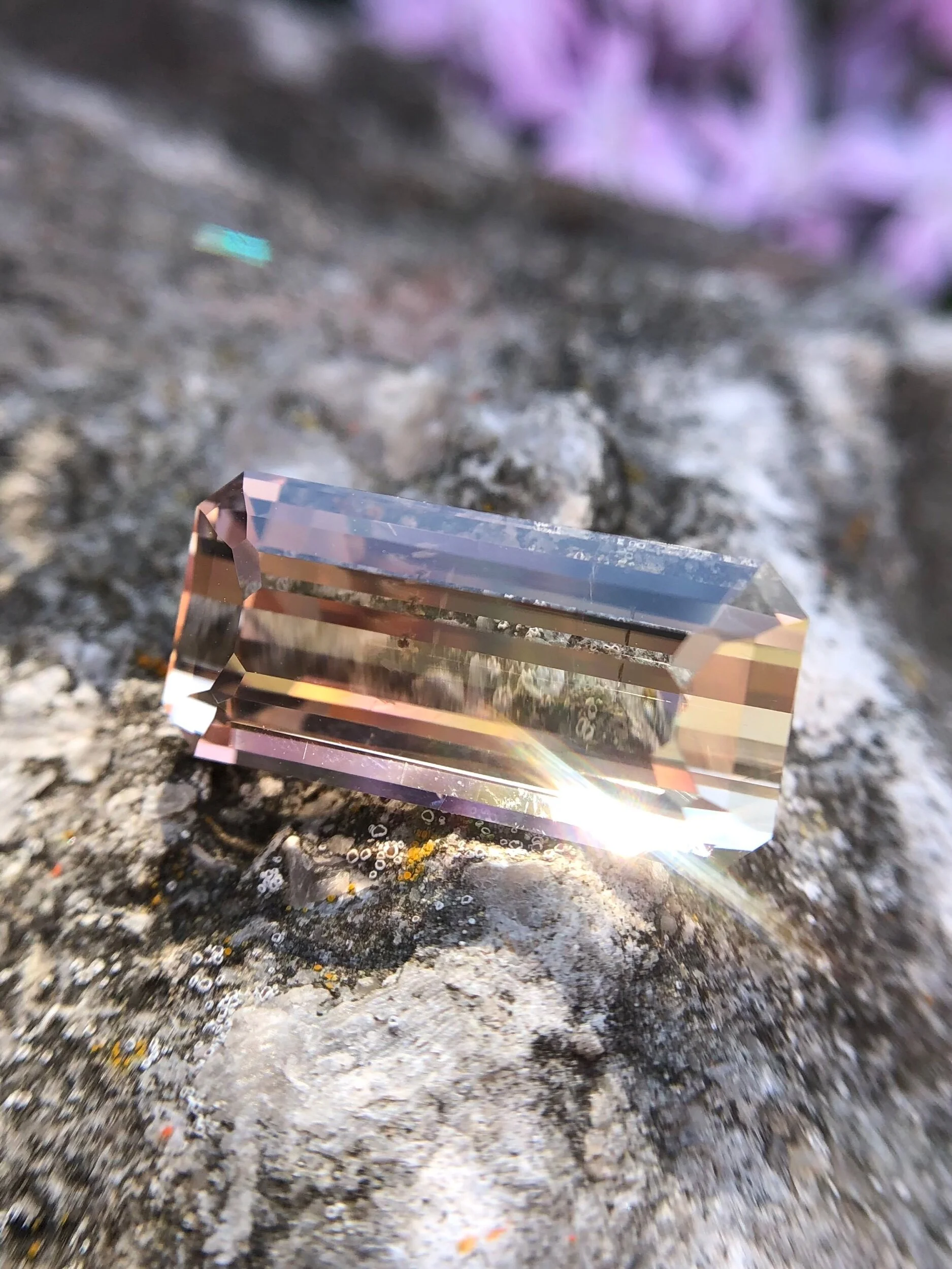 49E1E76B-0481-44C2-AF9C-9DD58DD291C2