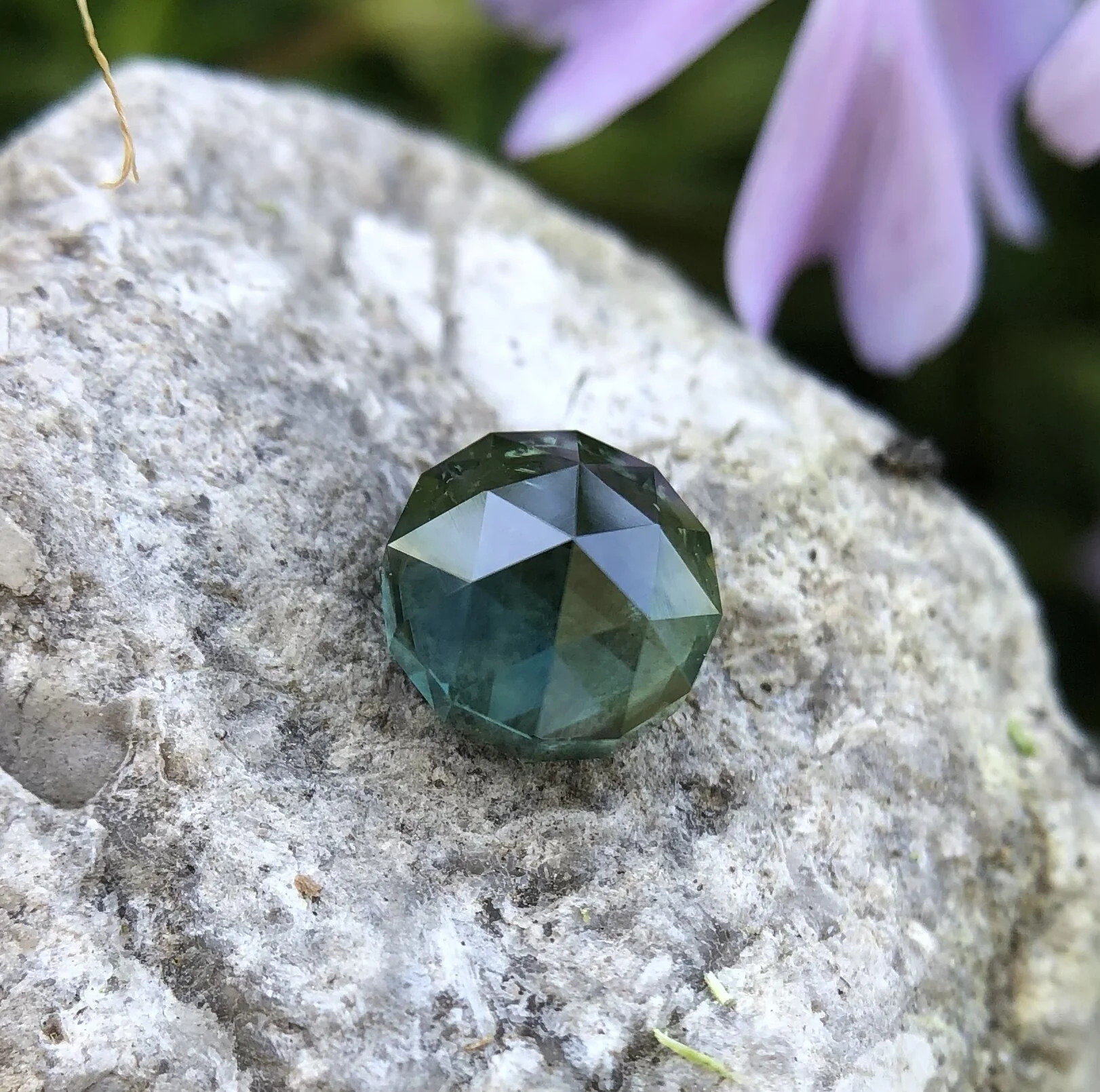 5F833883-D34D-44B6-8869-4222BDDE58F1