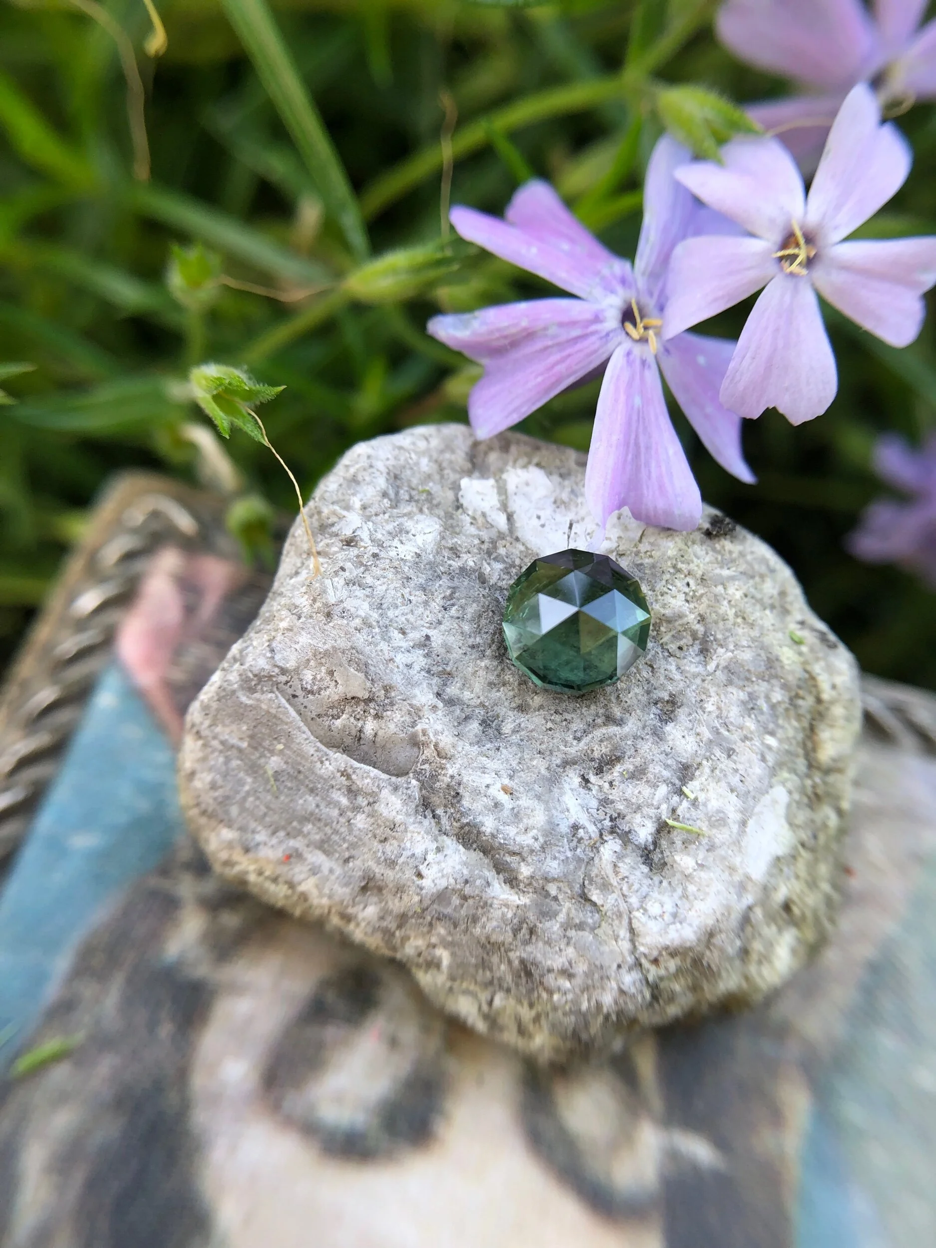 D1CFFF45-85D6-434B-9B46-EBB0AB0BB3E5