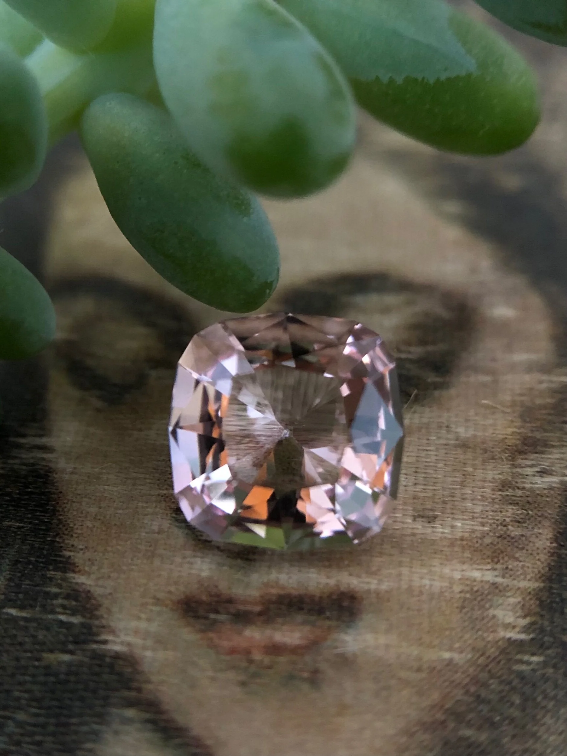 1D9F1037-7A8B-48A9-908D-319E0E1DA99C