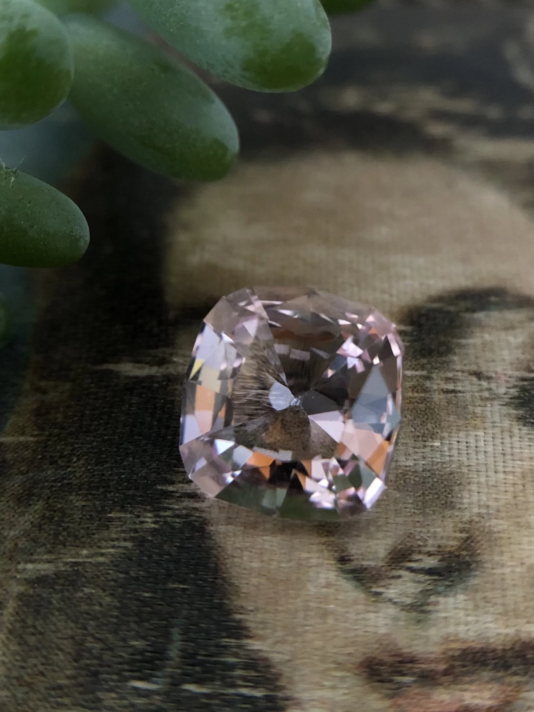 D8CCDE89-D8B7-484B-8C70-A78C10DE1D97