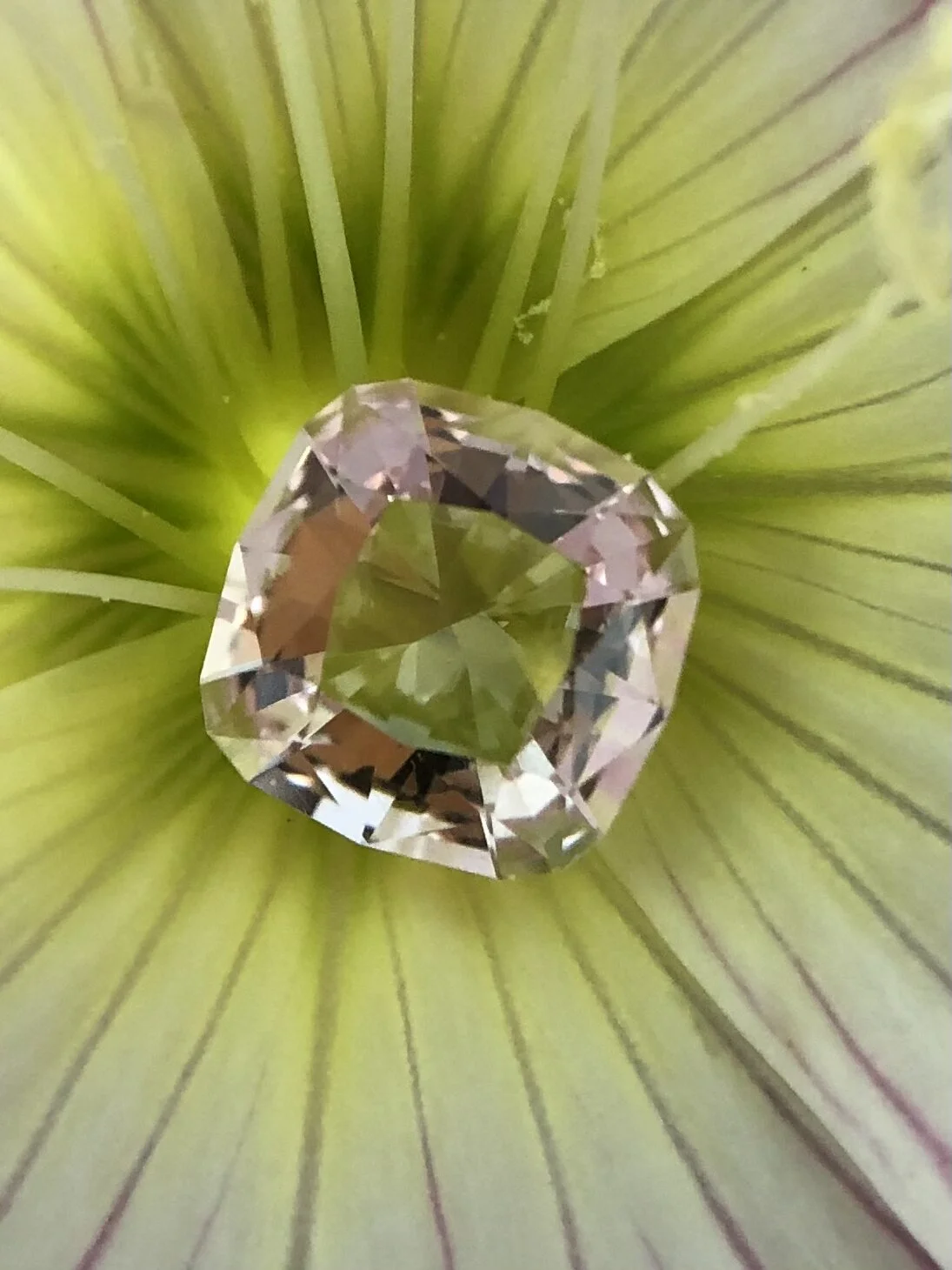 A97AC98B-66CA-42EC-B753-6B7E68D5DC6C