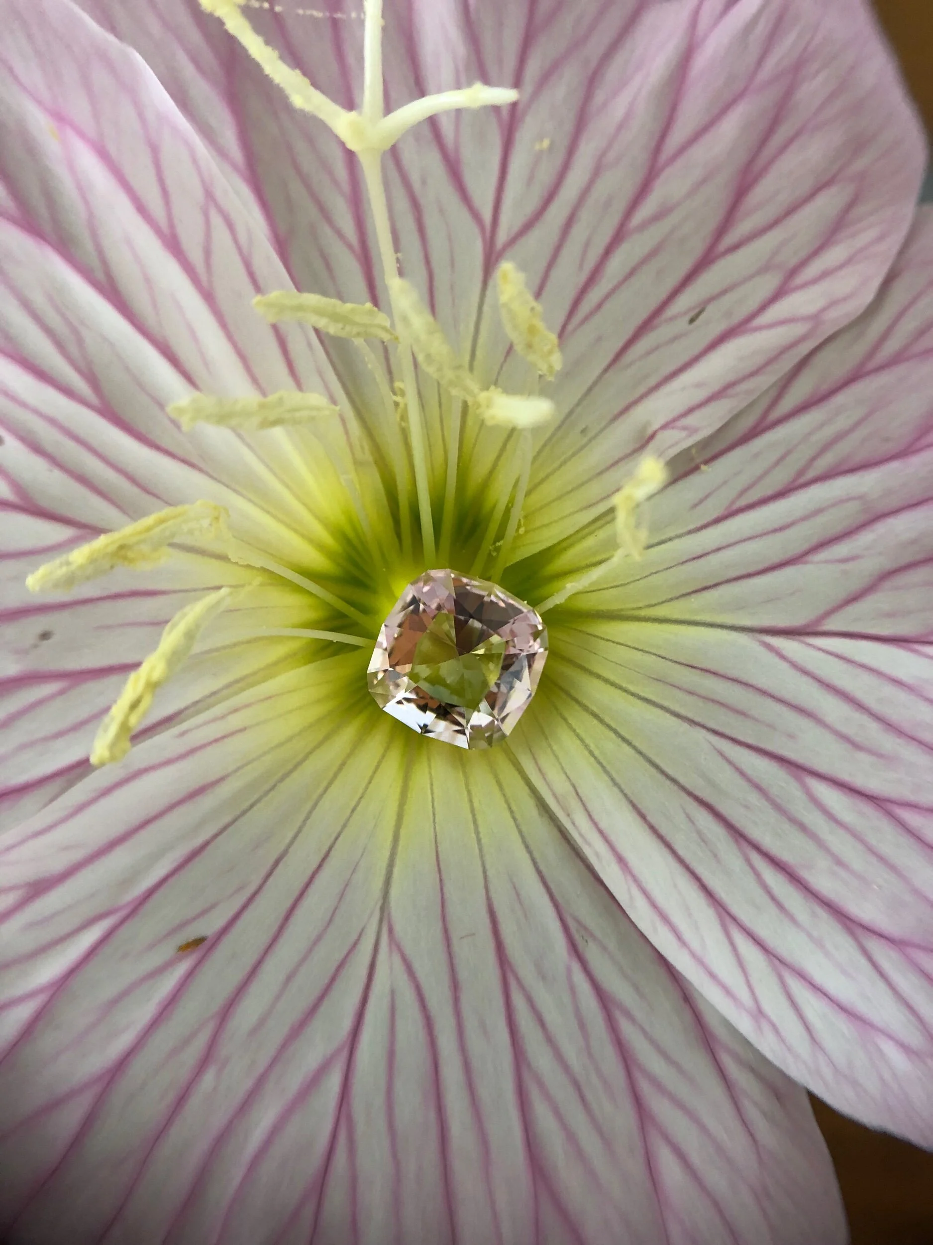 0106A97A-27CA-4088-92F1-CAA6A7E1C95C