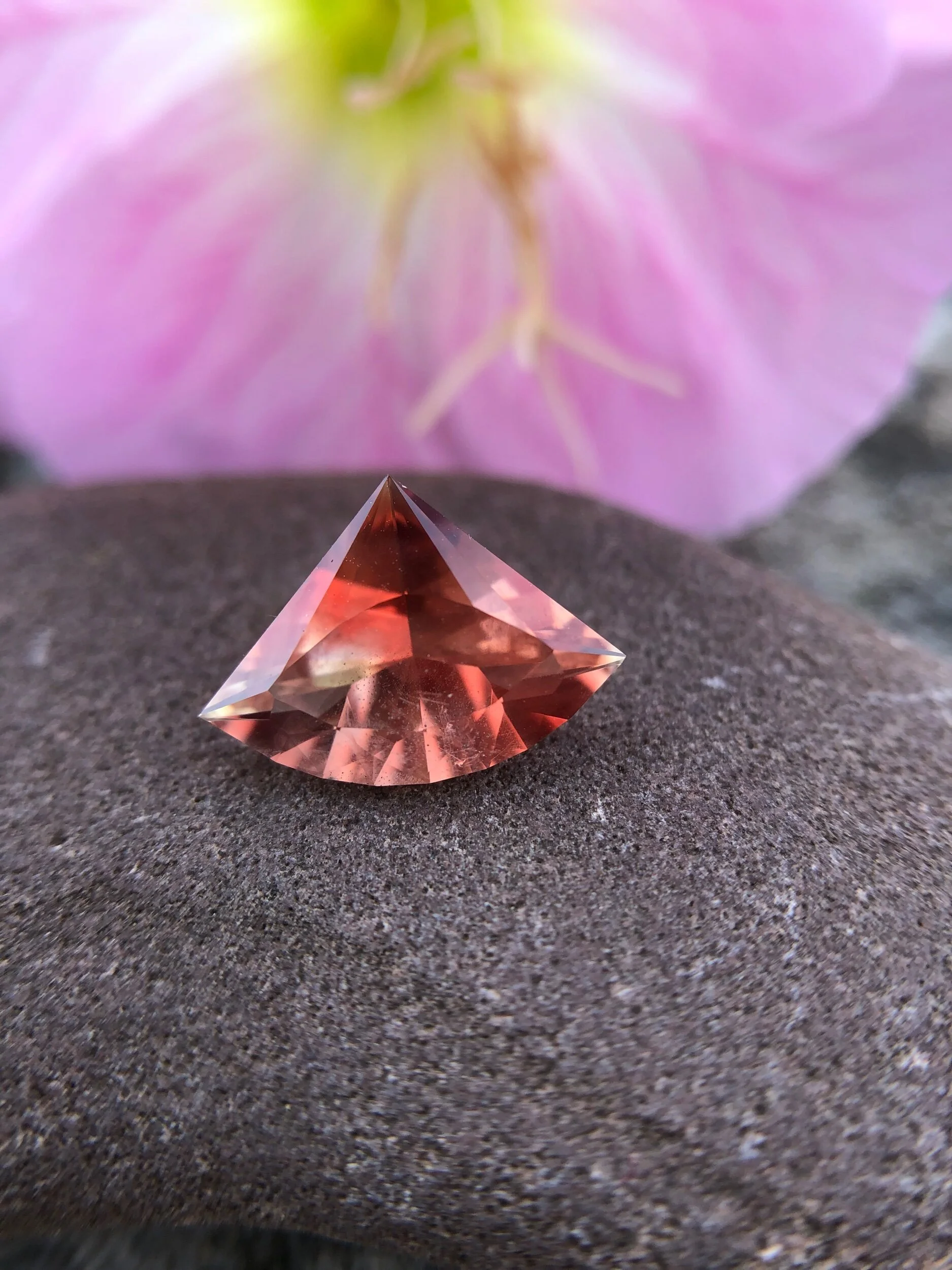 A45FCB72-864F-4D33-9341-E900896BB11E