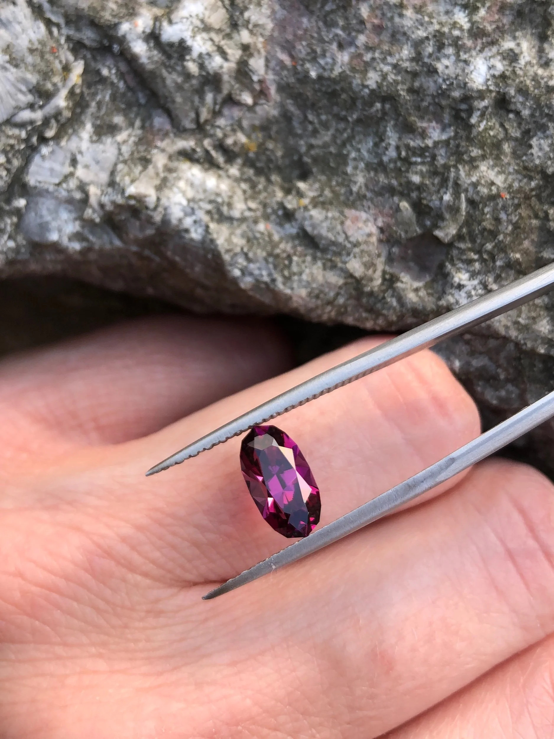 8F4501EC-597C-4E99-9AC1-CBA4B0753468