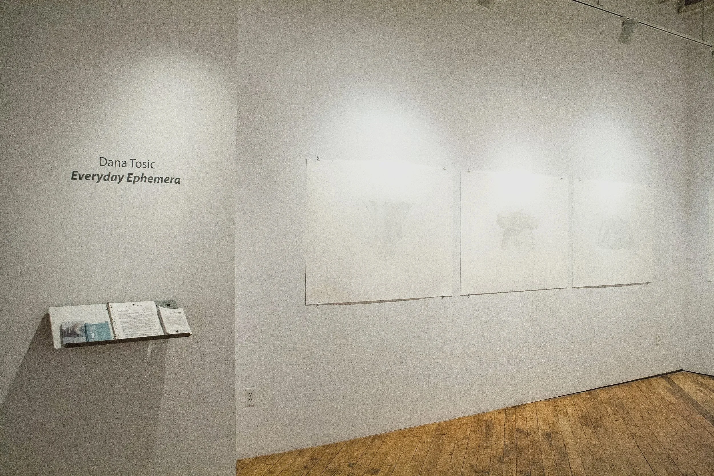 Dana Tosic: Everyday Ephemera
