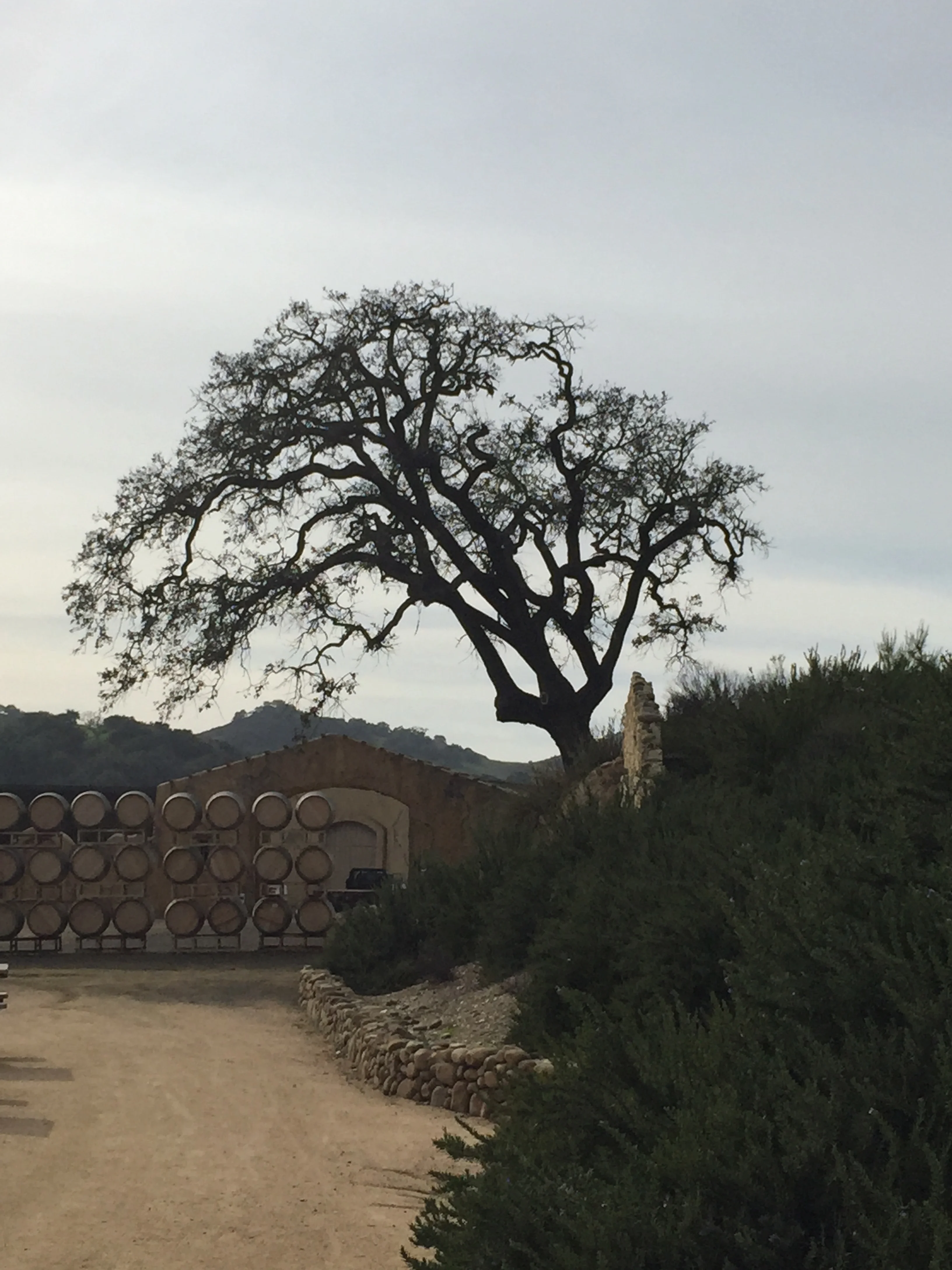 winery.jpg