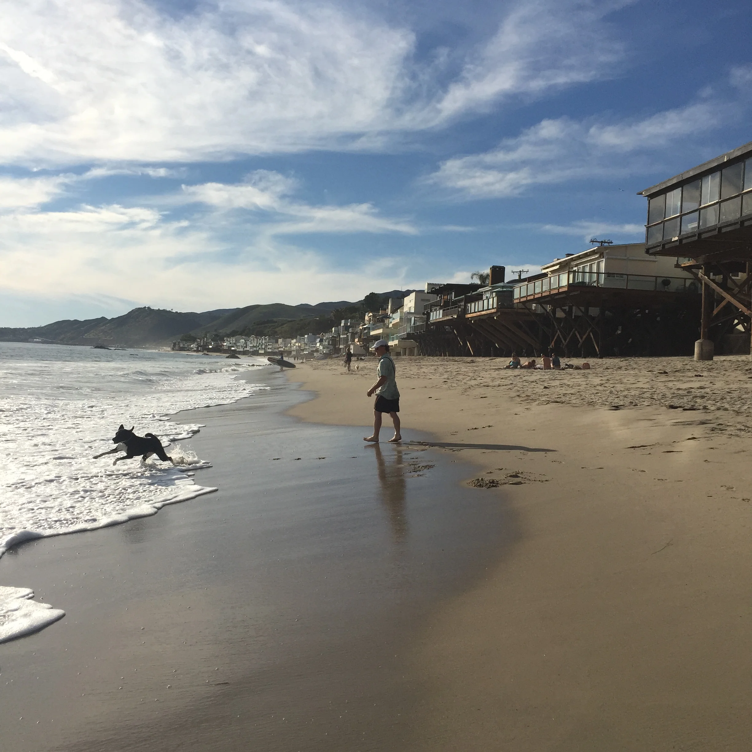 malibubeach.jpg