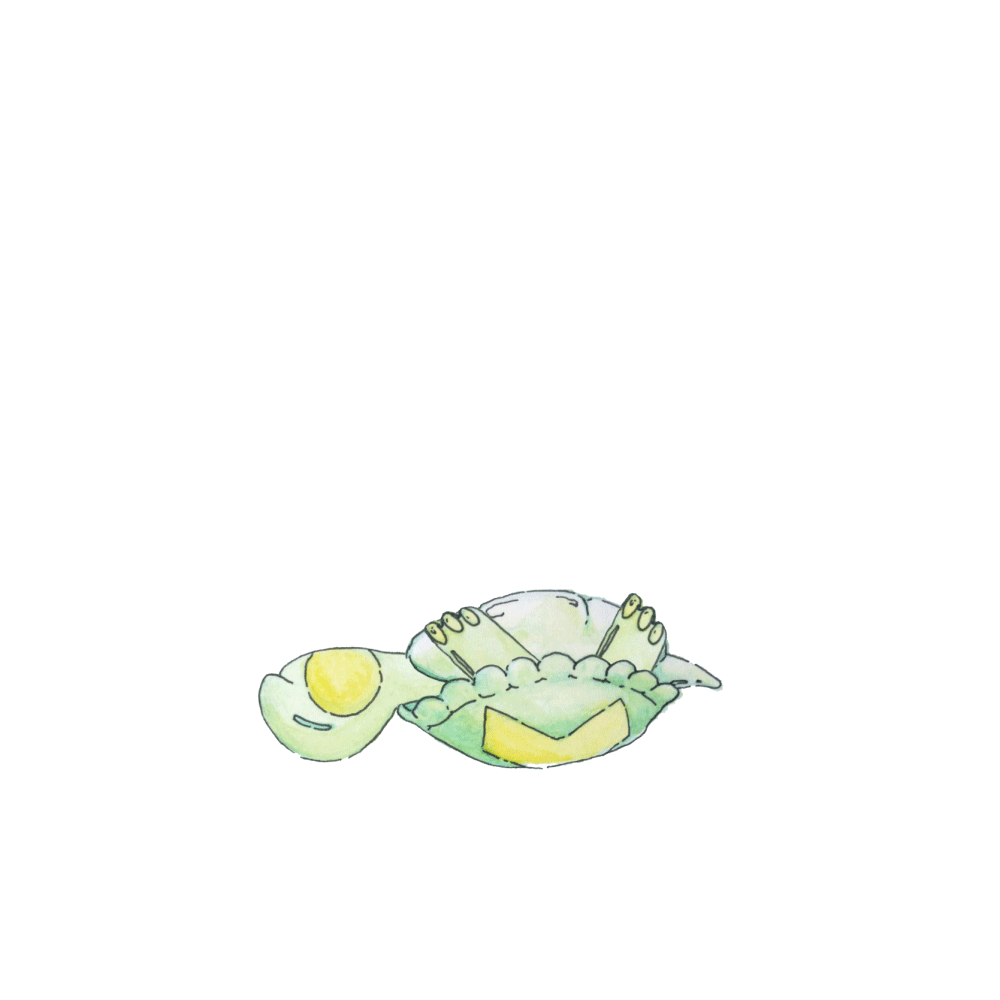 024_awkTurtle.gif