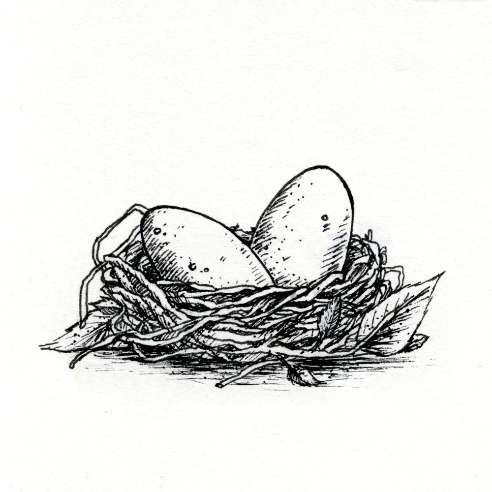 014_Nest.jpg