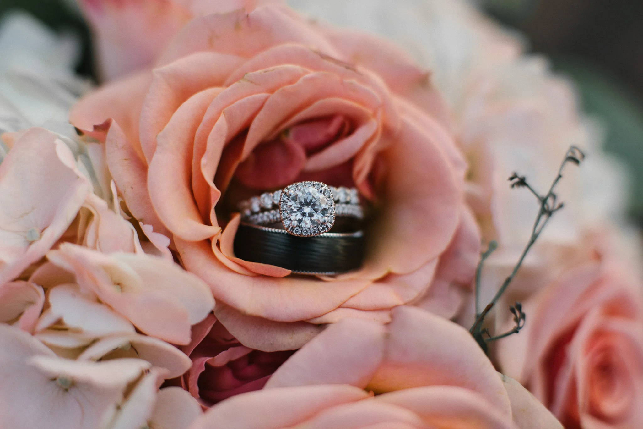 jennichandlerphotography_cariaswedding_WEB-749.jpg