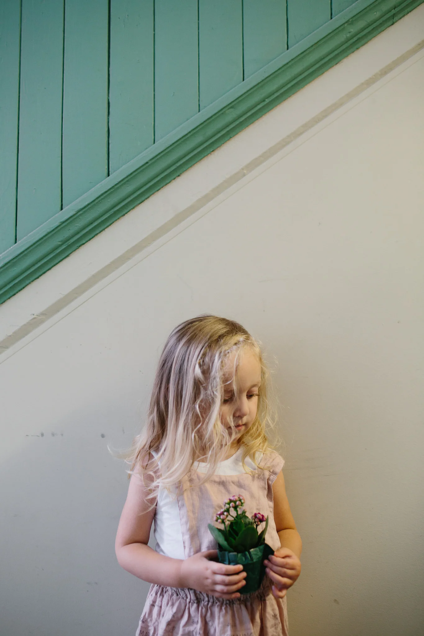 Brevard NC Family Photographer, Brevard NC, We are Brevard, Jenni Chandler Photography, Jenni Chandler, Mini Session, Portrait Session, Family Session, Newborn Session, Newborn Lifestyle, Brevard Family Photographer, Brevard Wedding Photographer, Elopement Photographer, WNC Elopement, WNC Photographer, Western North Carolina Photographer, Family, Children, Natural Light, Unposed, Lifestyle, Photographer, Transylvania County, Western North Carolina, Asheville, Hendersonville Photographer, Mills River Photographer
