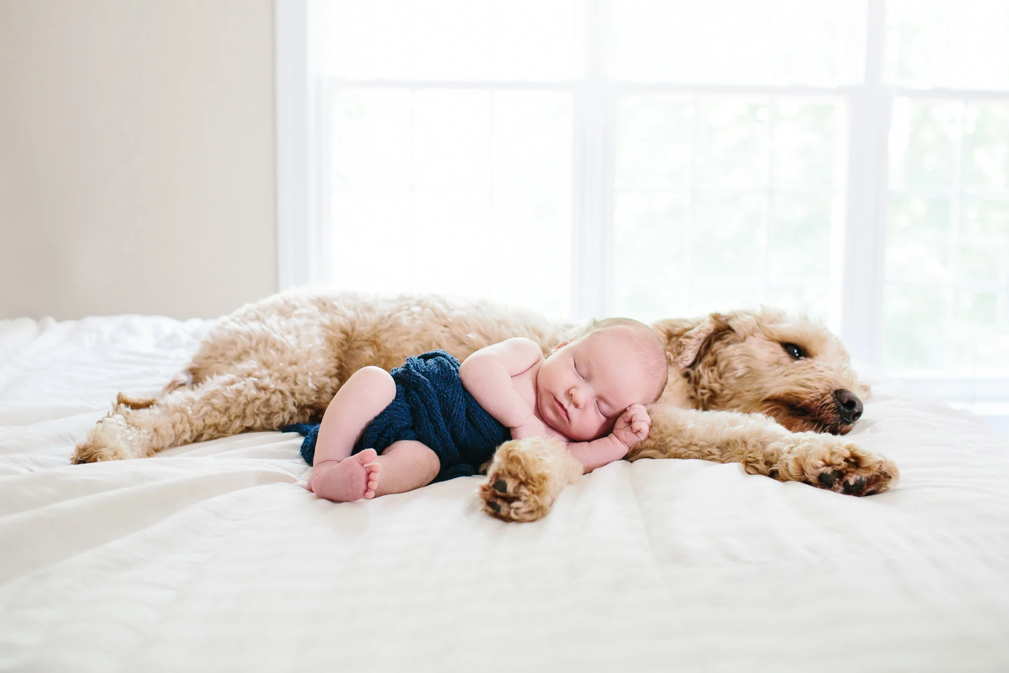 jennichandlerphotography_koden_newborn_WEB-68.jpg