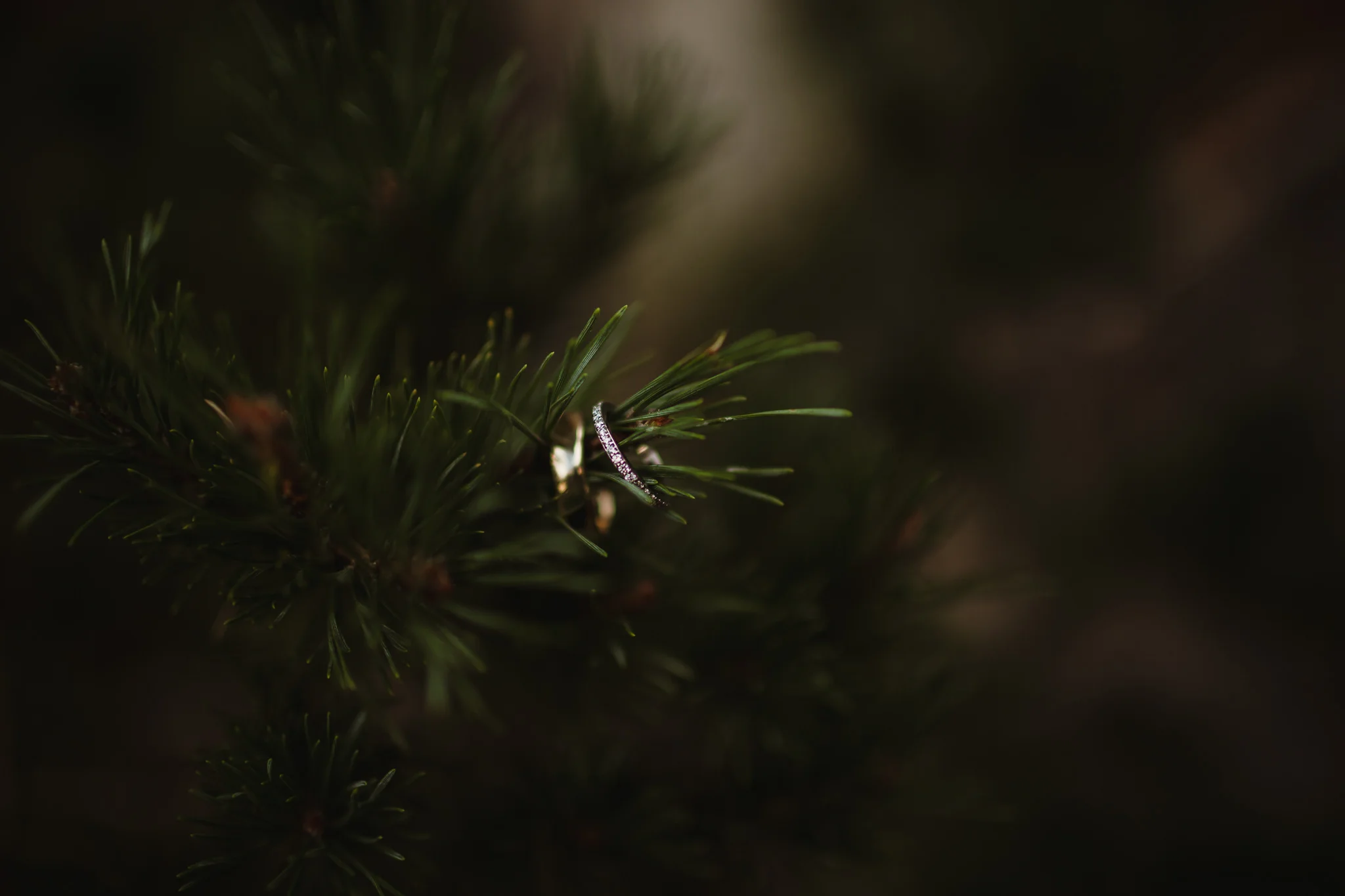 jennichandlerphotography_2017oldedwardsbrittanydawithsiobhan_WEB-28.jpg