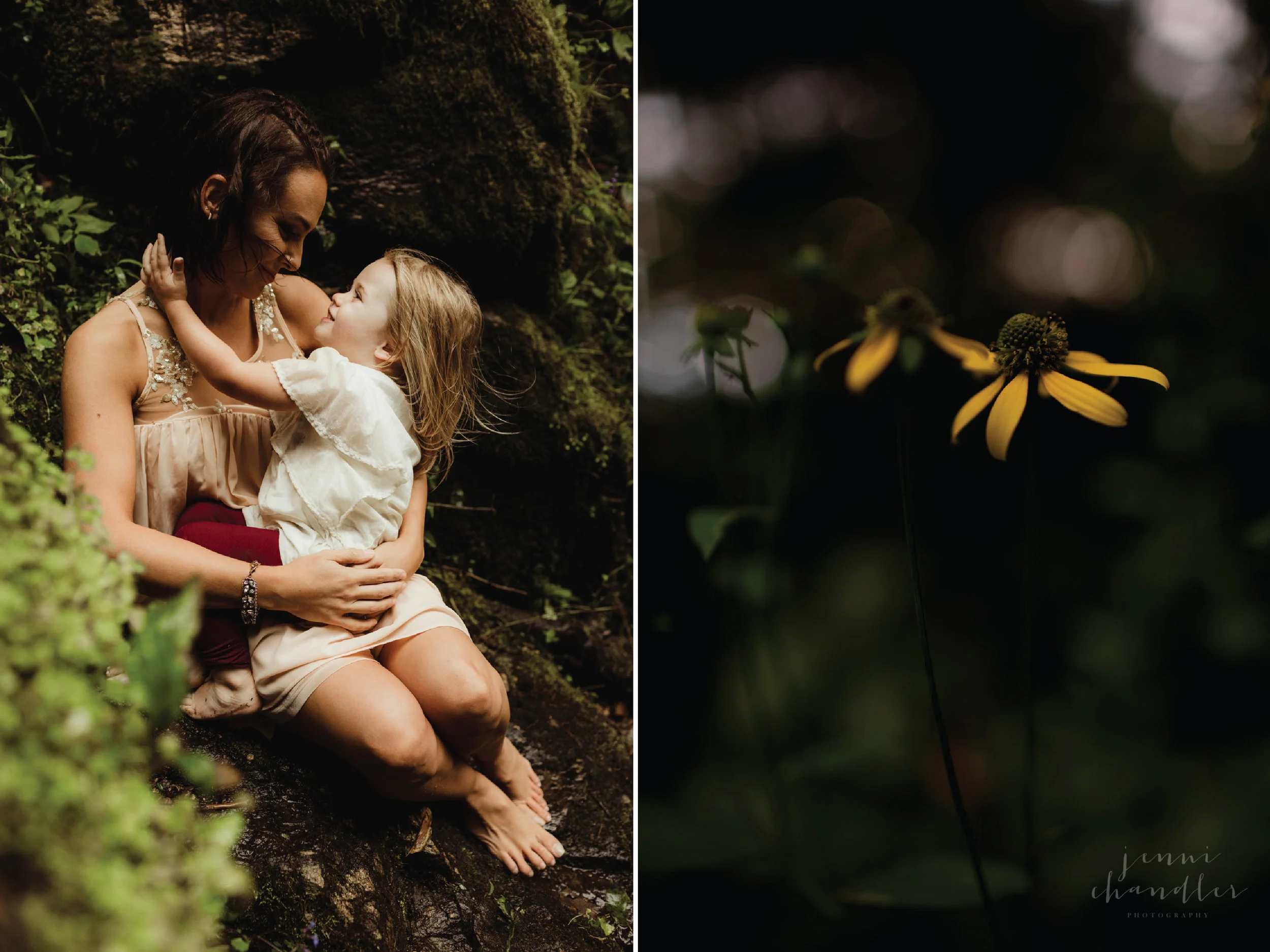 fall family portraits, nc family photographer, western nc family photographer, black balsam knob, brevard nc, brevard, jenni chandler photography, senior session, family session, portrait session, wnc events, asheville wedding photographer, brevard wedding photographer, intimate wedding photographer, mountain wedding, barn wedding, boho wedding, rustic wedding, family on mountain top, blue ridge parkway, blue ridge mountains, breviary, pisgah national forest, mountain view, unposed, candid, lifestyle photographer, jenni chandler, twig and olive, goldenrods, mountain family session, adventure session, sunset, sunset family session, hendersonville photographer, mills river photographer, greenville sc photographer, western nc photographer, dark and moody photographer, colorful photographer, estatoe waterfall, land of the waterfalls