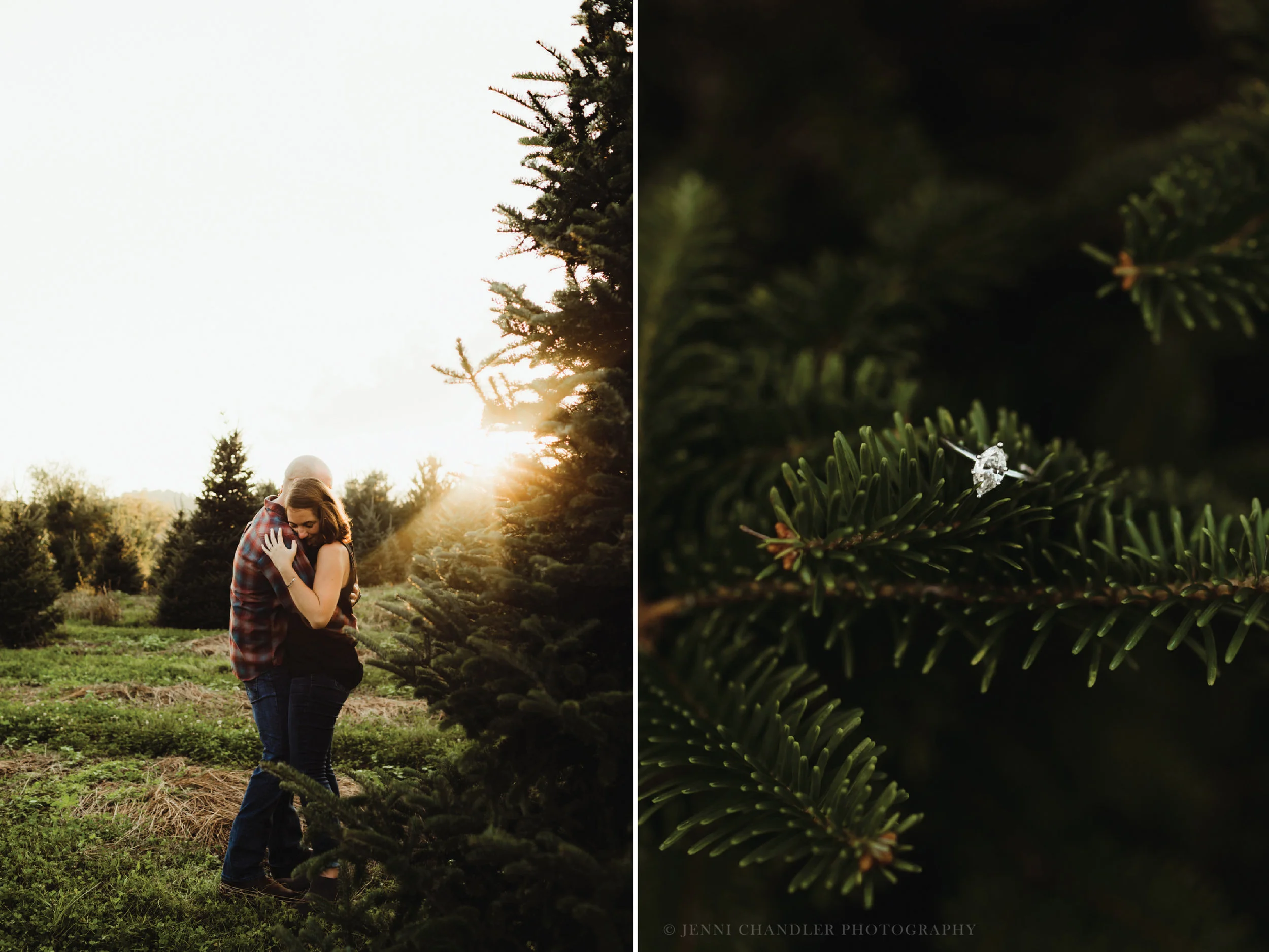 engaged, christmas tree farm, fly fishing, black balsam knob, engagement, engagement session, jenni chandler photography, asheville wedding photographer, brevard nc wedding photographer, brevard wedding photographer, mountain top engagement, engaged, couples in love, green wedding shoes, avl wedding guide, asheville wedding guide, looking glass falls, looking glass falls engagement, brevard nc, we are brevard, brevard photographer, brevard wedding, wnc wedding, wnc events