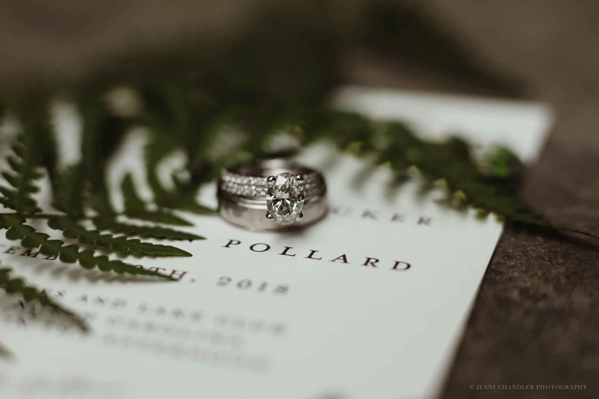trillium links, trillium links and lakes, trillium wedding, old edwards wedding, old edwards, cashiers wedding, cashiers nc, country club wedding, jenni chandler photography, wnc events, brevard wedding photographer, cashiers wedding photographer, asheville wedding photographer, hendersonville wedding photographer, mills river wedding photographer, western nc wedding photographer, blue ridge mountains wedding photographer, benjamin warner, the blossom jar, anarie, sugar cloud, mountain wedding, mountain bride, intimate wedding, elopement, jenni chandler, small wedding, southern bride, nc bride and groom, nc mountain wedding, blue ridge wedding, mountain backdrop