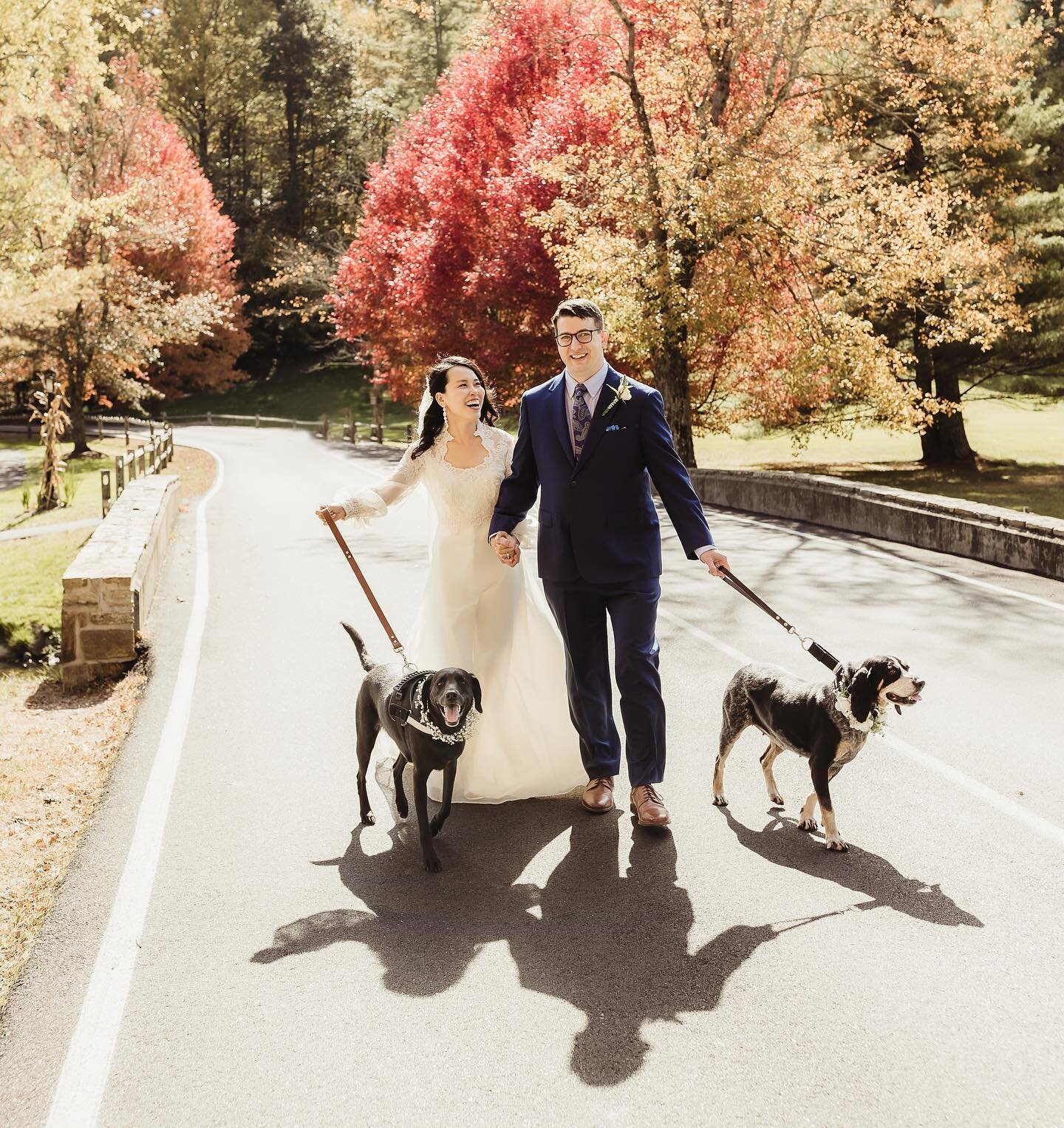 When you meet your soulmate at the dog park, your dogs become VIP guests at your wedding! Fei and Rob's intimate wedding took place on a beautiful fall day at Chetola Resort. Fei surprised Rob by wearing his mother's wedding gown. Close friends and f