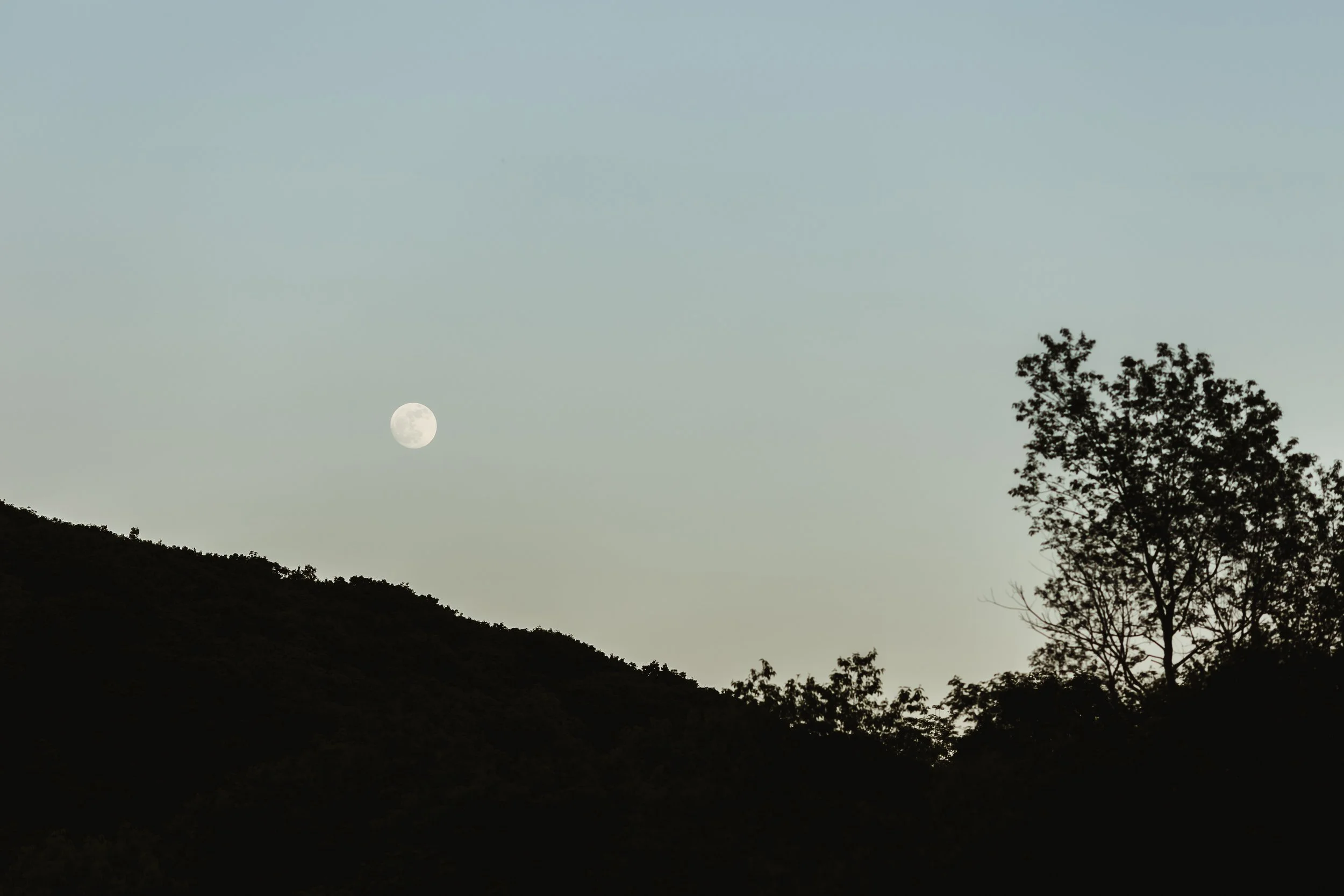 thenestwedding_jennichandlerphotography-370.jpg