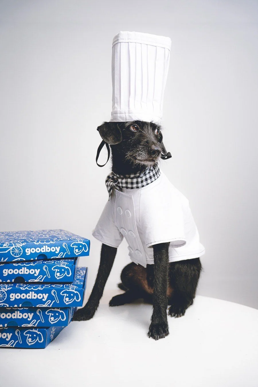 Goodboy cookies especialistas en galletas para bodas.