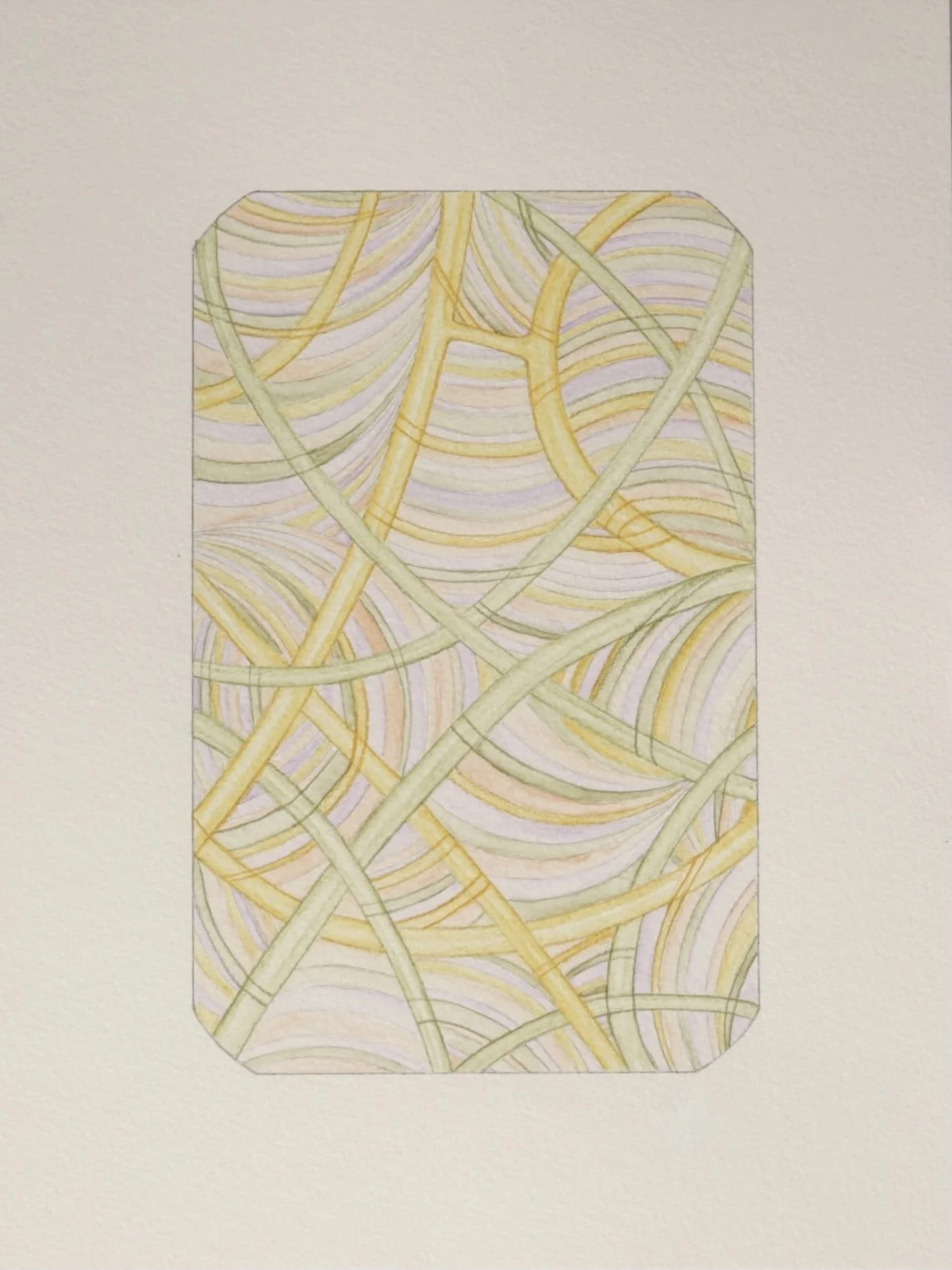 Watercolor and pencil on paper 2024