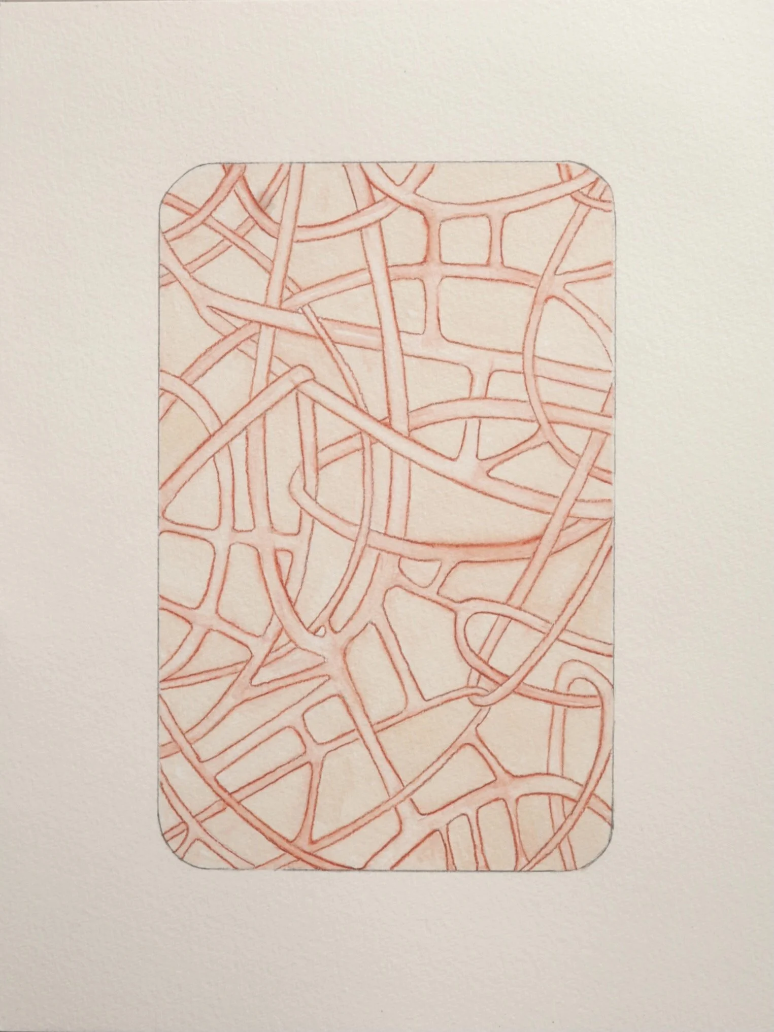 Watercolor and pencil on paper 2024