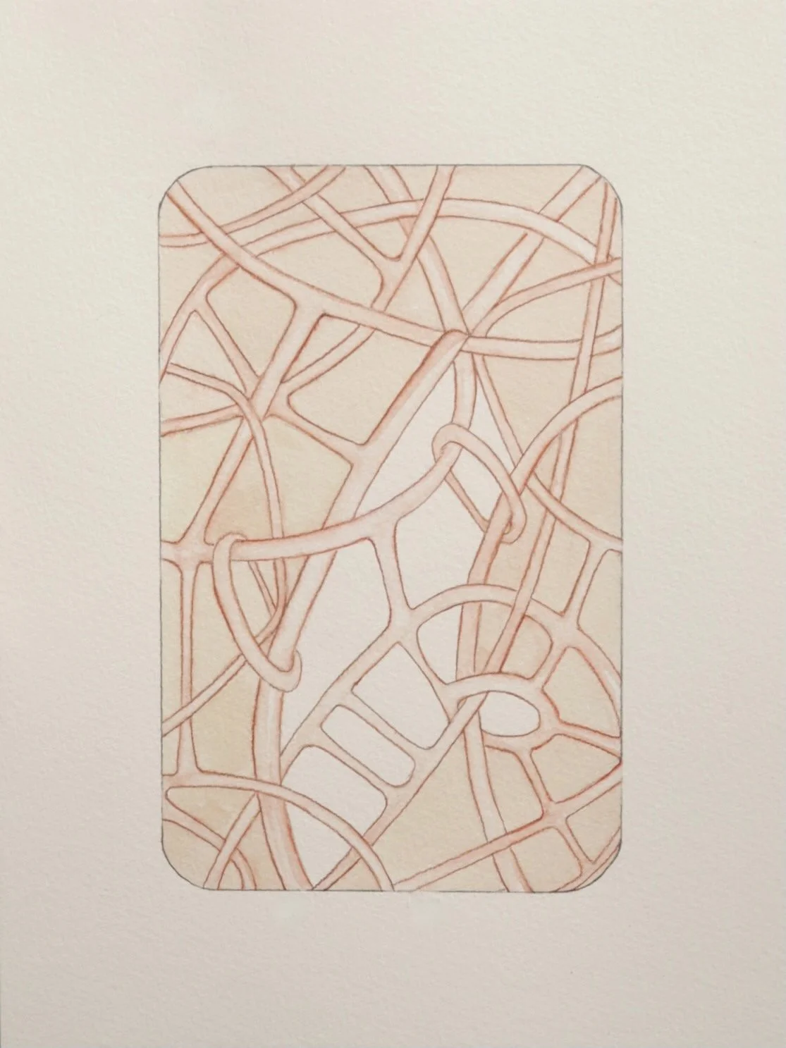 Watercolor and pencil on paper 2024