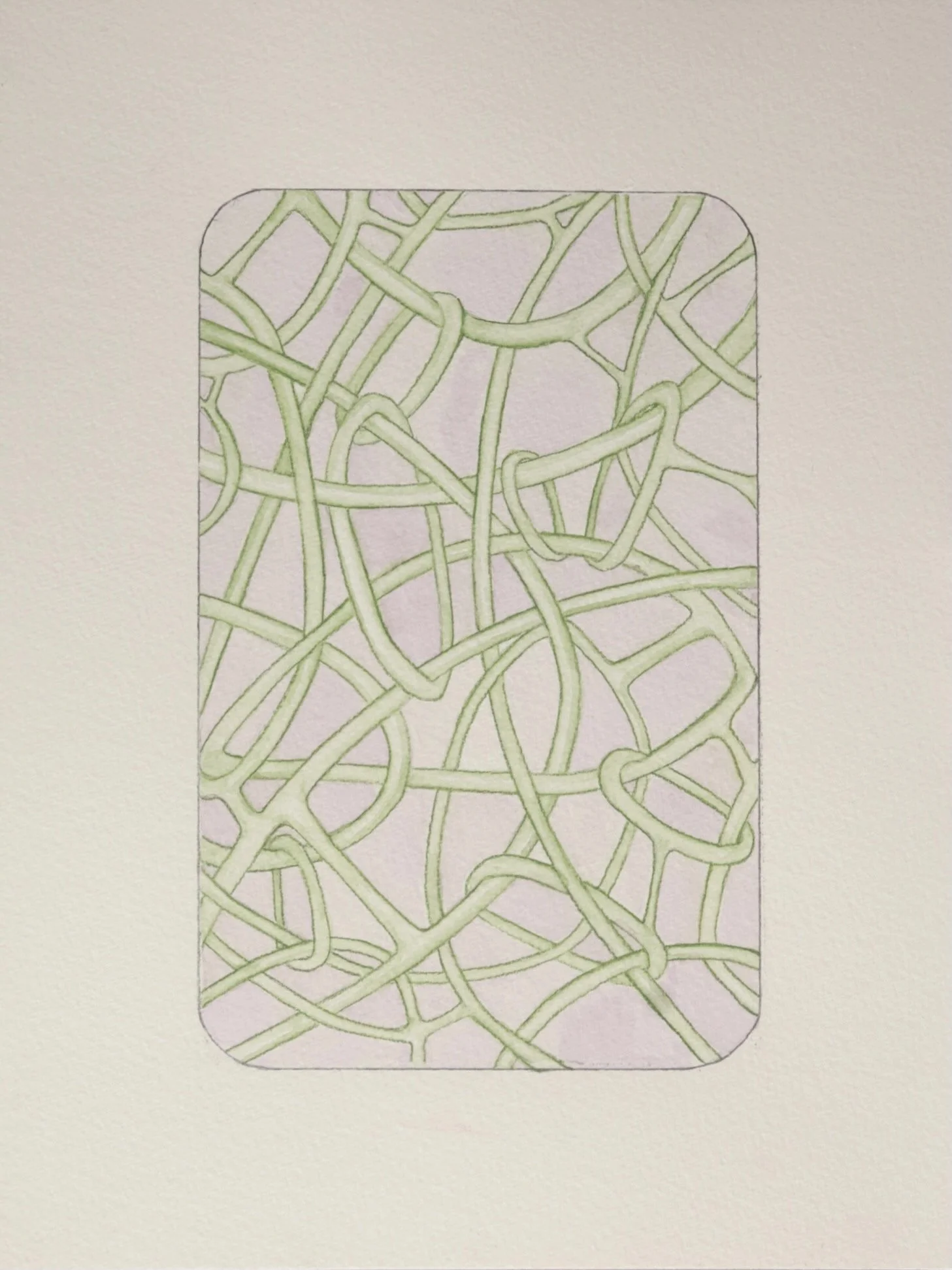 Watercolor and pencil on paper 2024