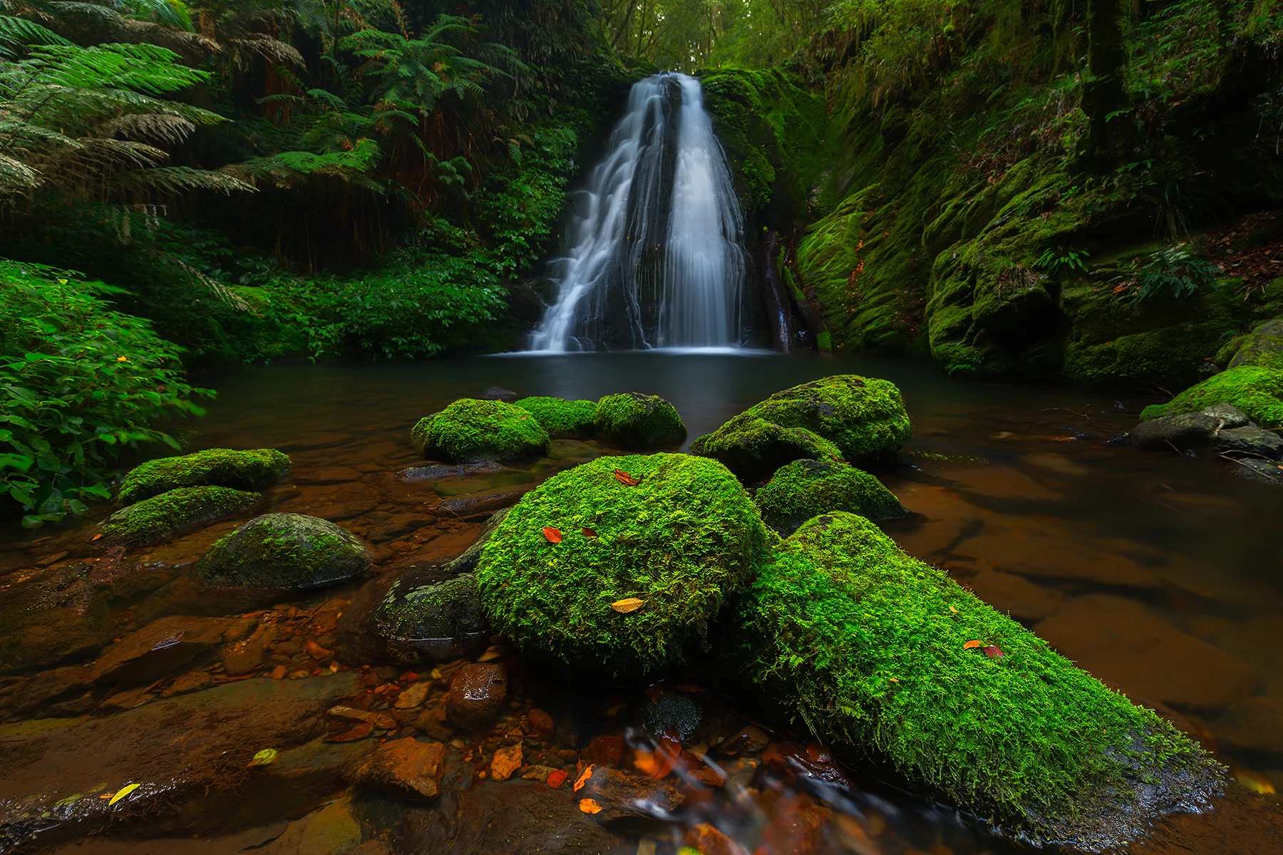 stunning waterfall in the New England National Park
