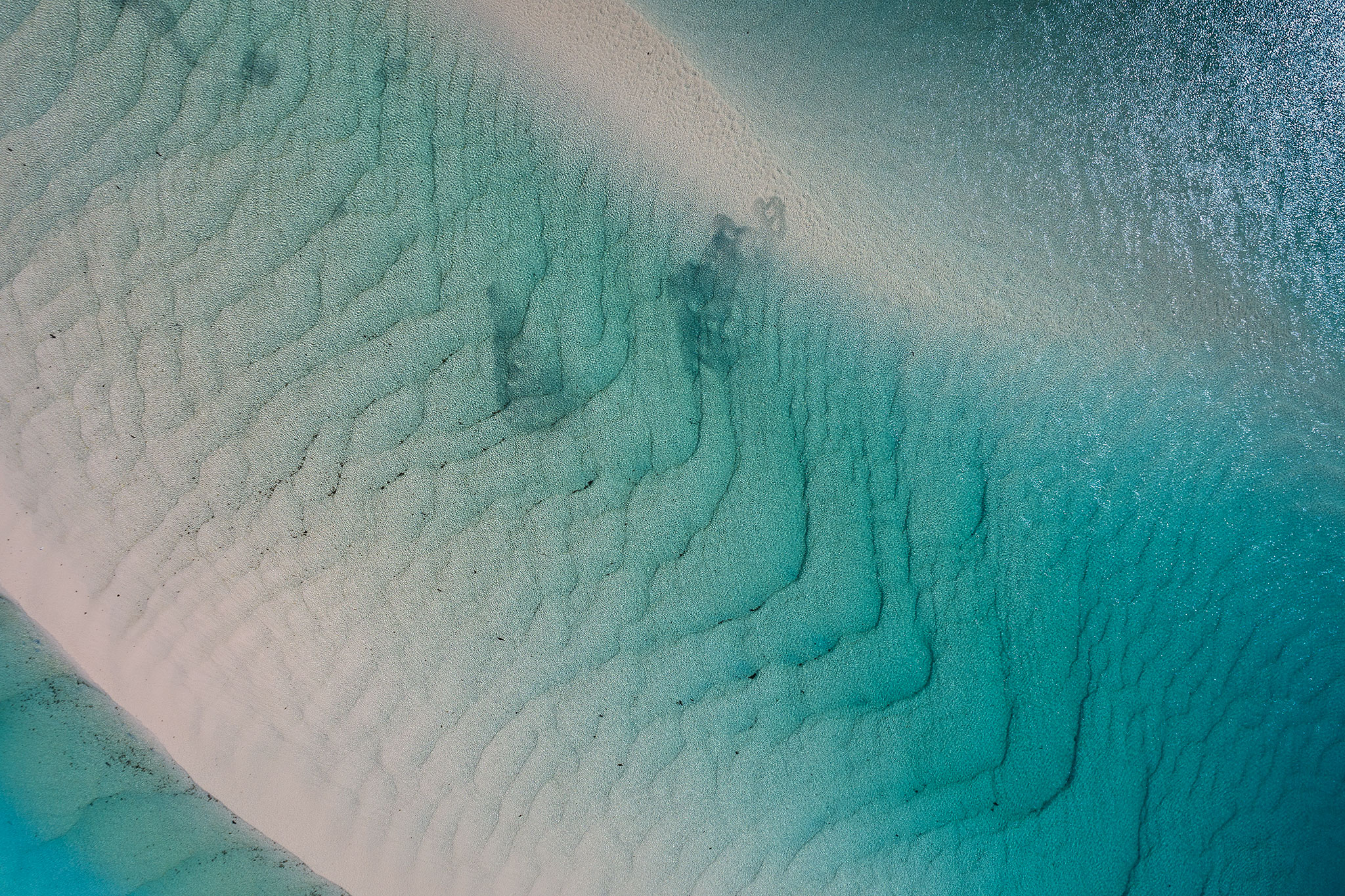 DJI_0006WEBSITE.jpg