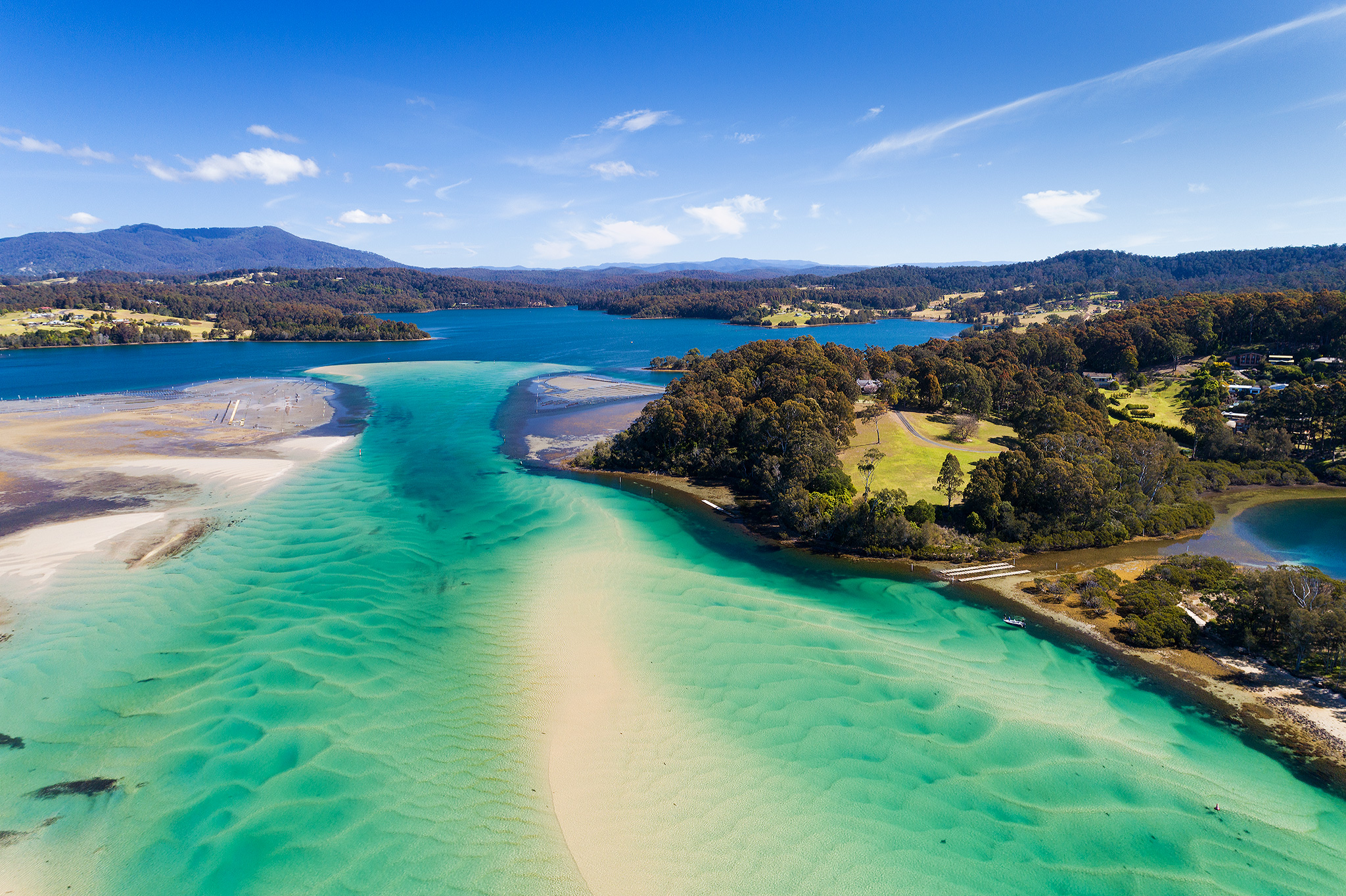 DJI_0004WEBSITE.jpg