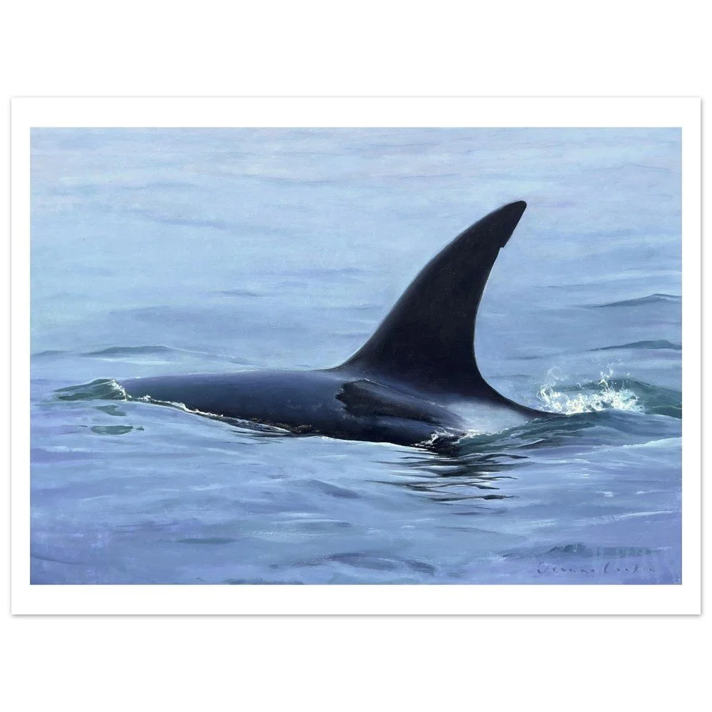 tmp-365-znlylqkoHdue