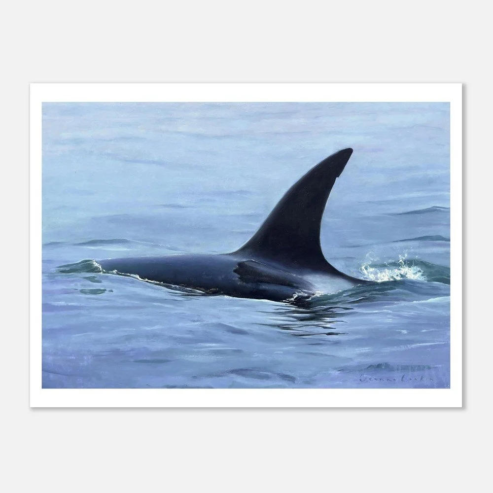 tmp-365-8k5X8YQKfeRU