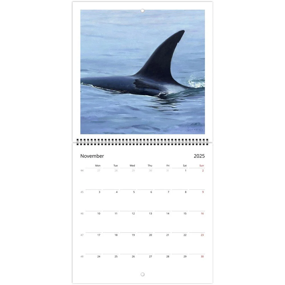 tmp-378-a099nMDquPmz