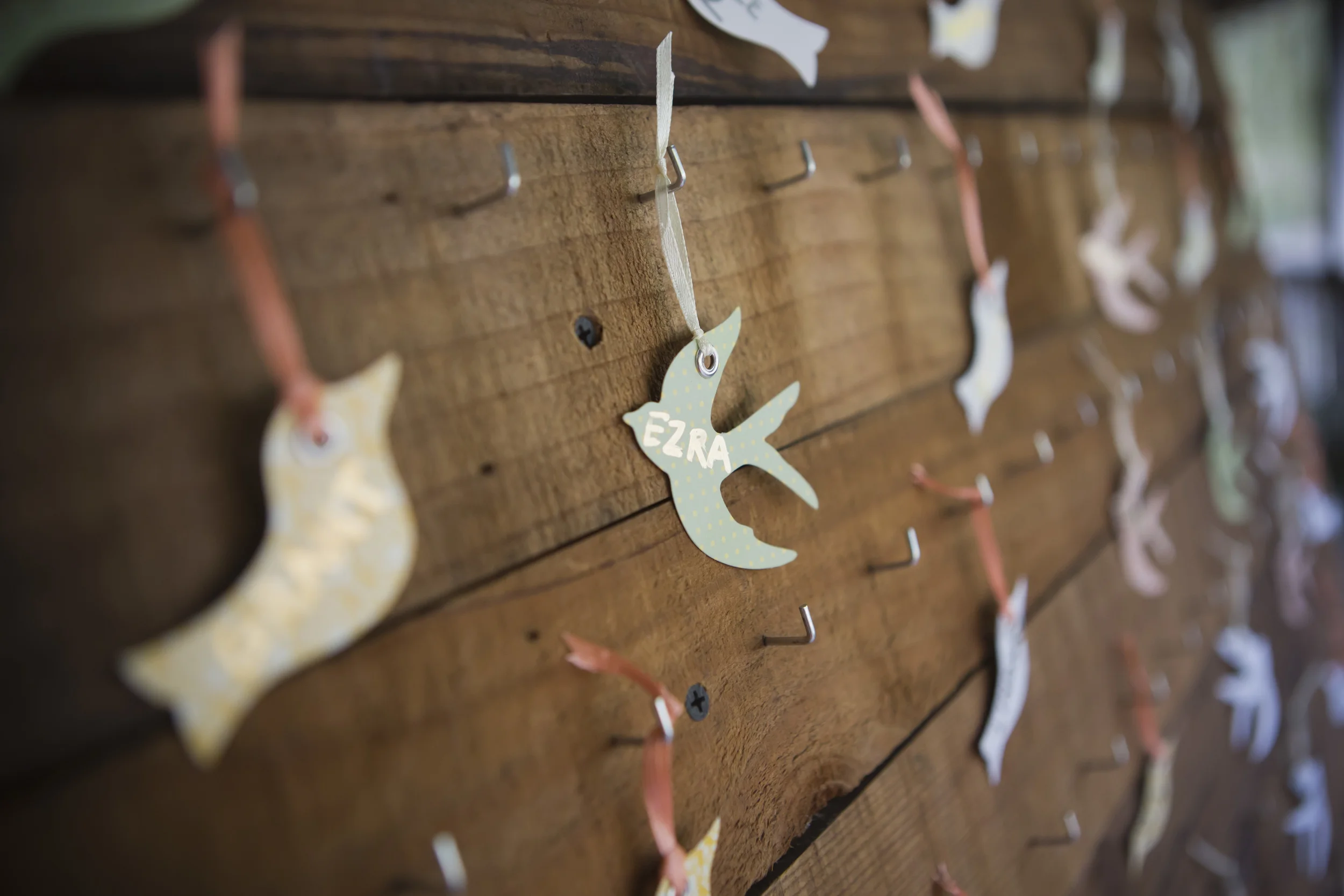 q37a0543_DUDLEY WEDDING.jpg