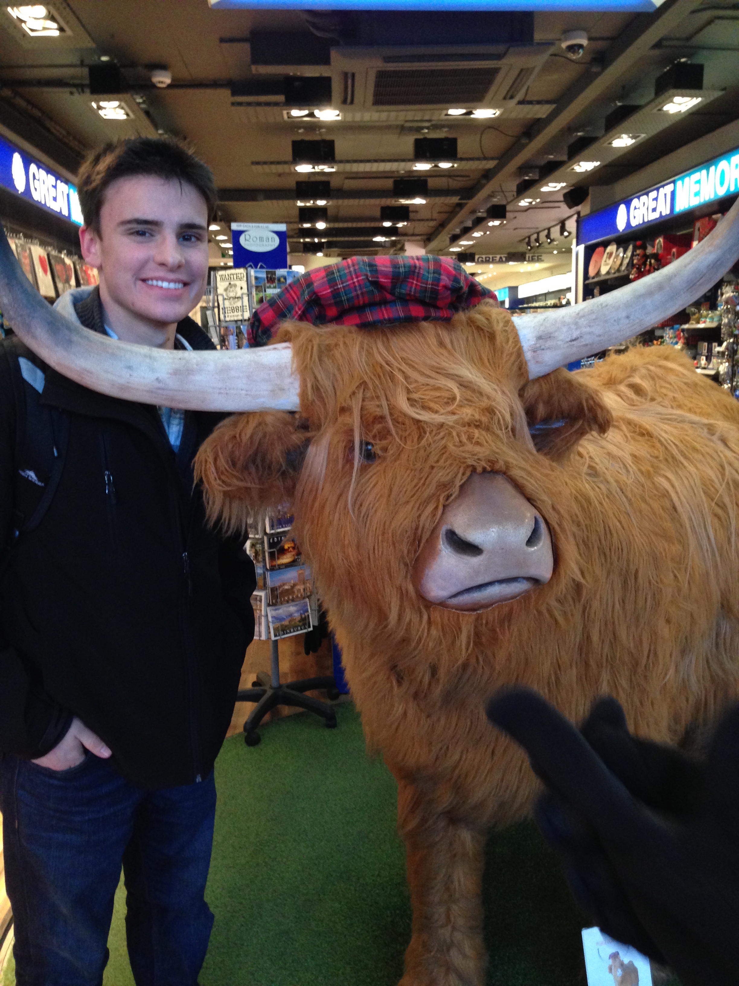 My first Highland cow - Edinburgh, Scotland