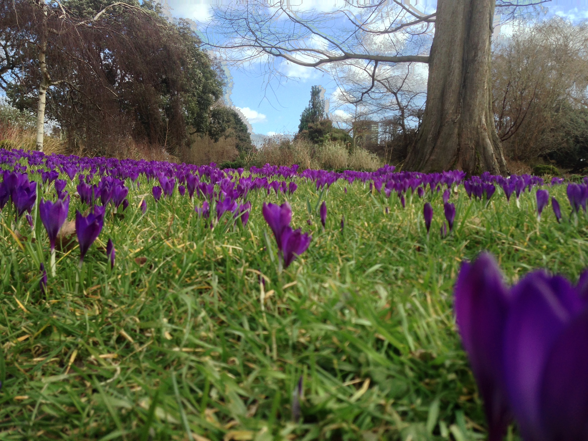  Queen Mary's Gardens - London 