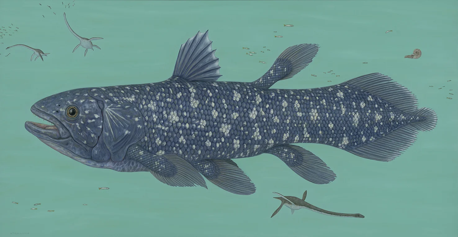 Coelacanth and Elasmosaurs