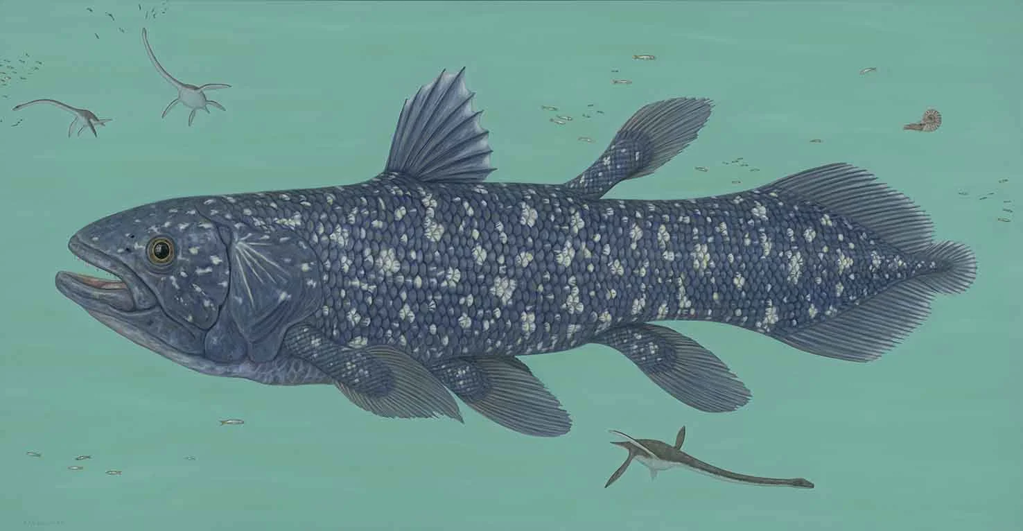 website 4777_Andrew Sullivan_Fish_FF_CF.jpg