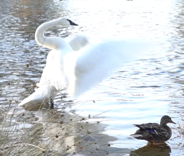 Oh these Piscean energies…!