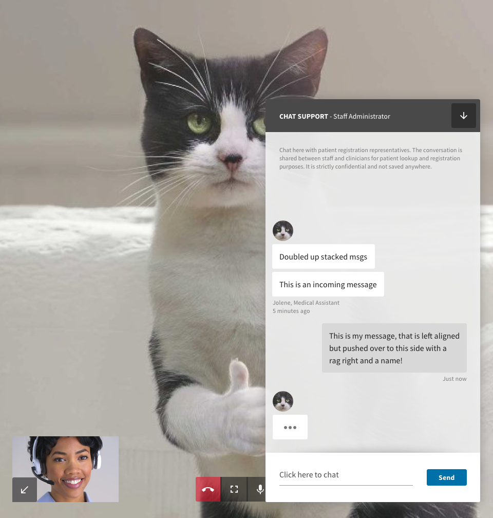 Pared down video interface for virtual triage service, with text chat.