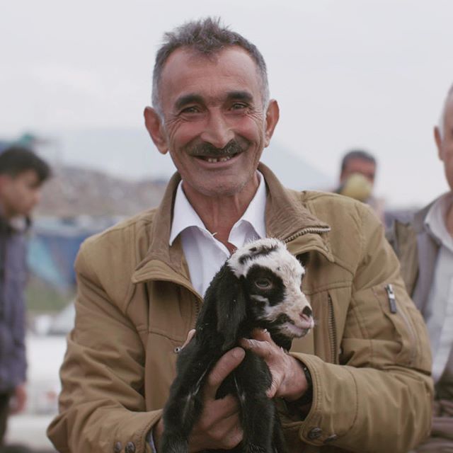 Kurdish man with 🐐 #civilians #refugeeresponse #refugeestories #refugeecamp #refugeescrisis #refugees #goat #kurdish #happy #refugeeswelcome  #photooftheday #portrait