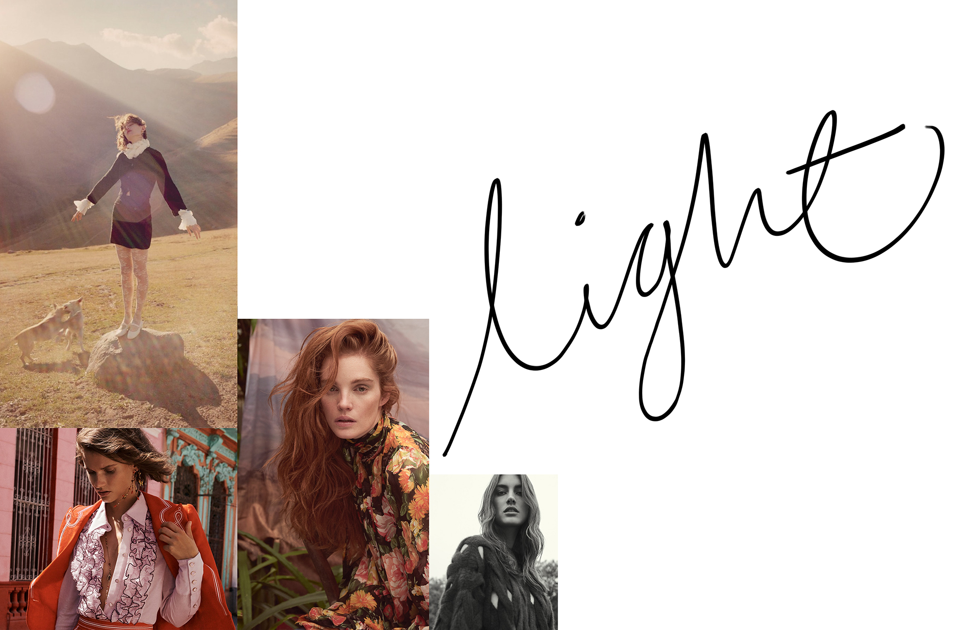 light.jpg